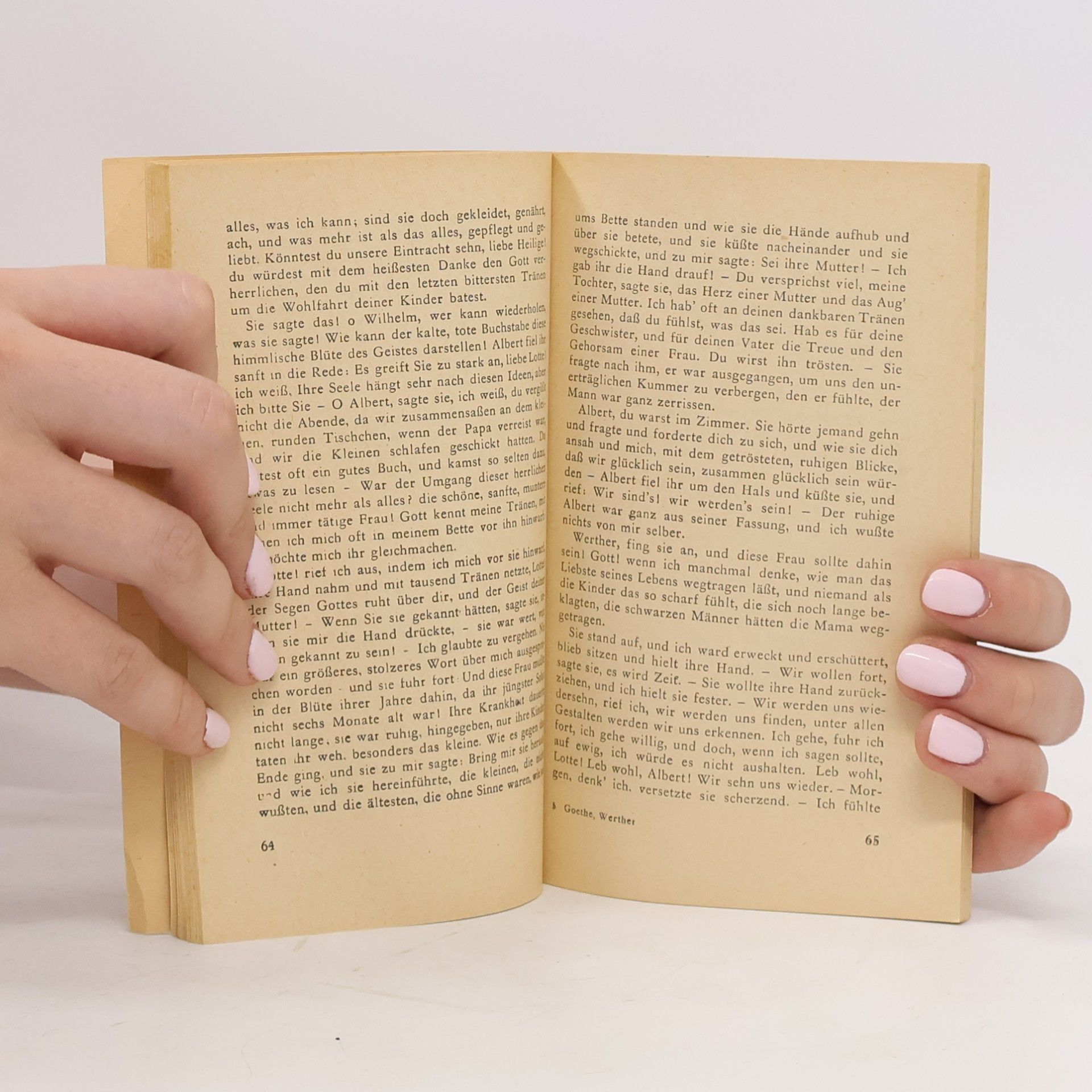 Johann Wolfgang von Goethe Die Leiden des Jungen Werthers