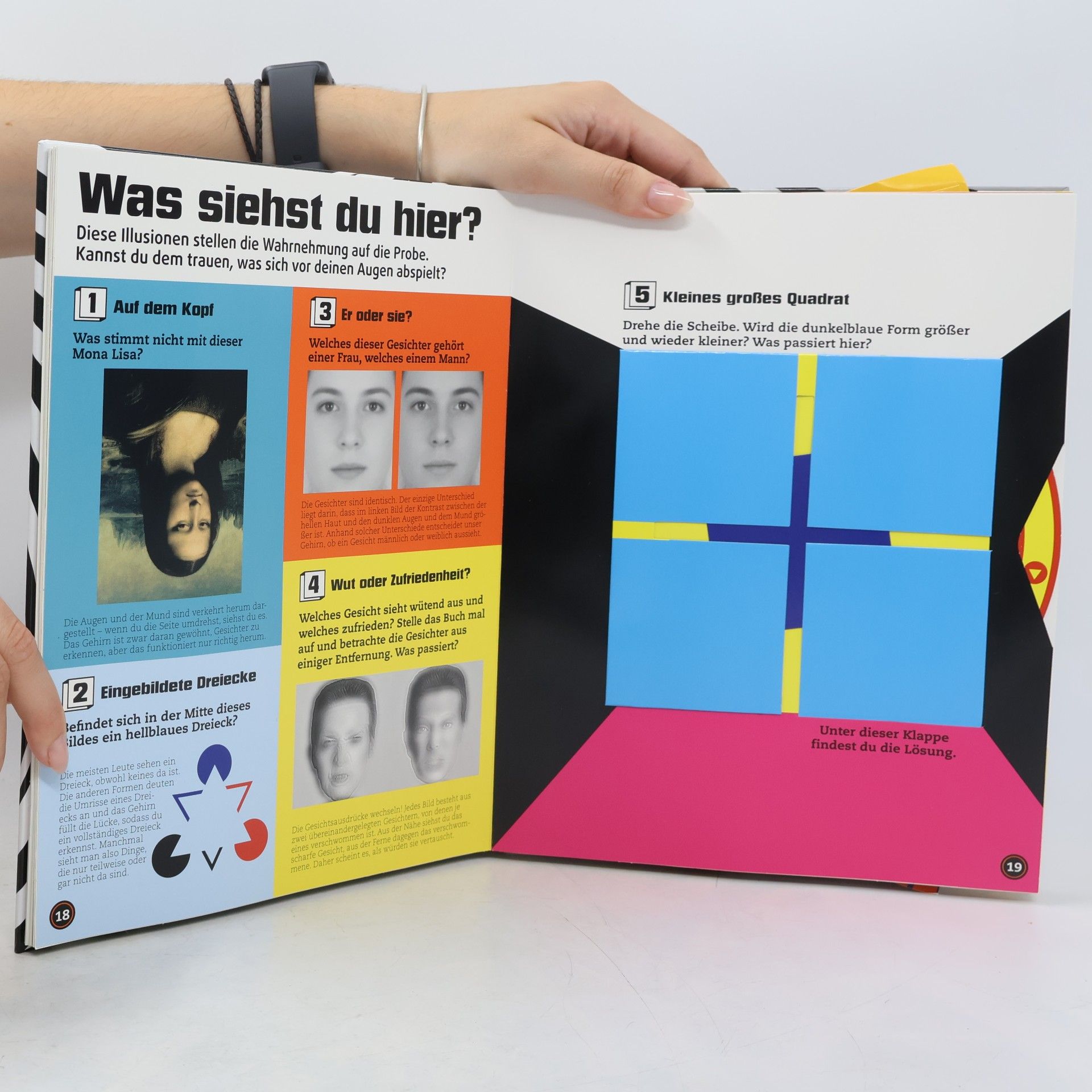 Birgit Reit Optische Täuschungen