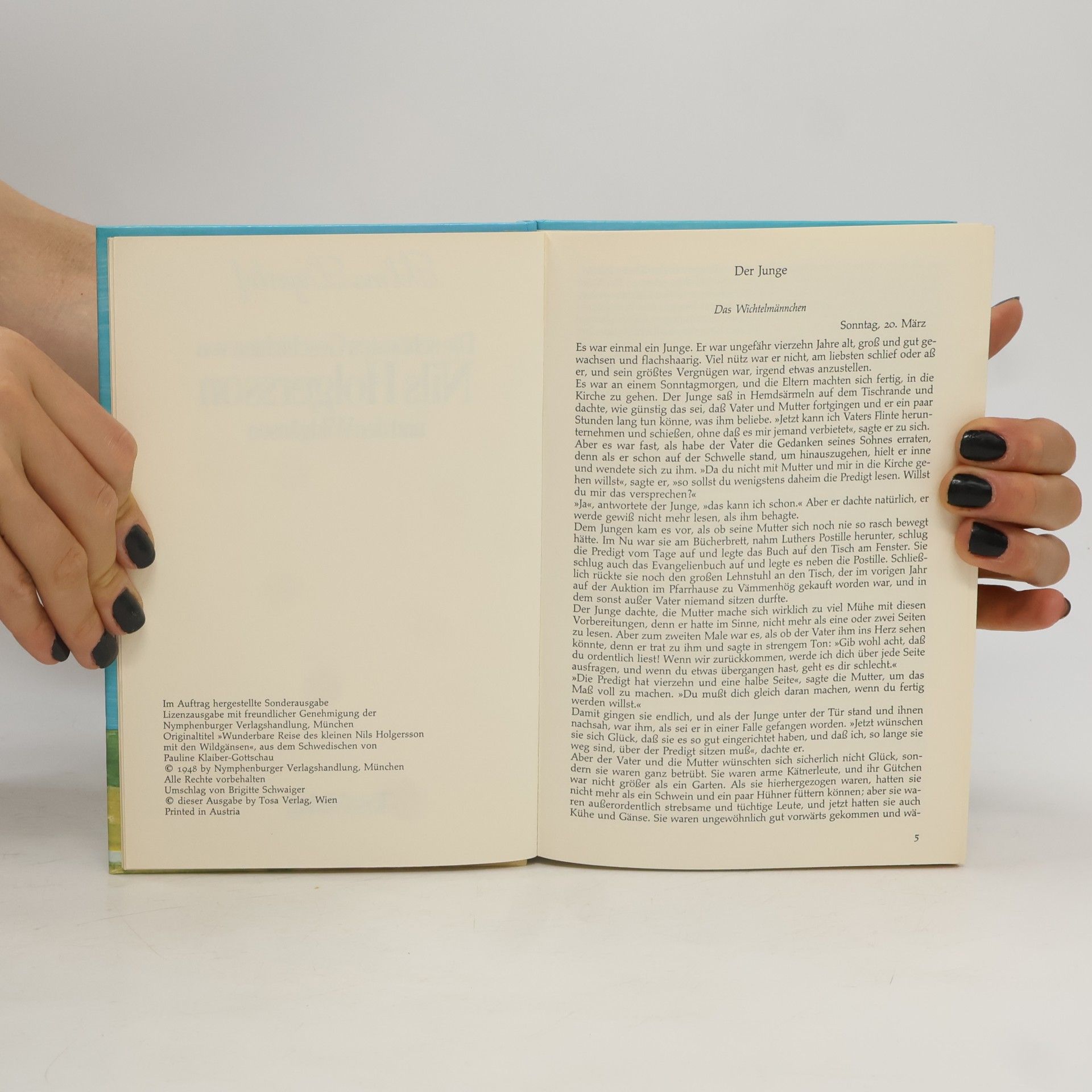 Selma Lagerlöf Die schönsten Geschichten von Nils Holgersson und den Wildgänsen