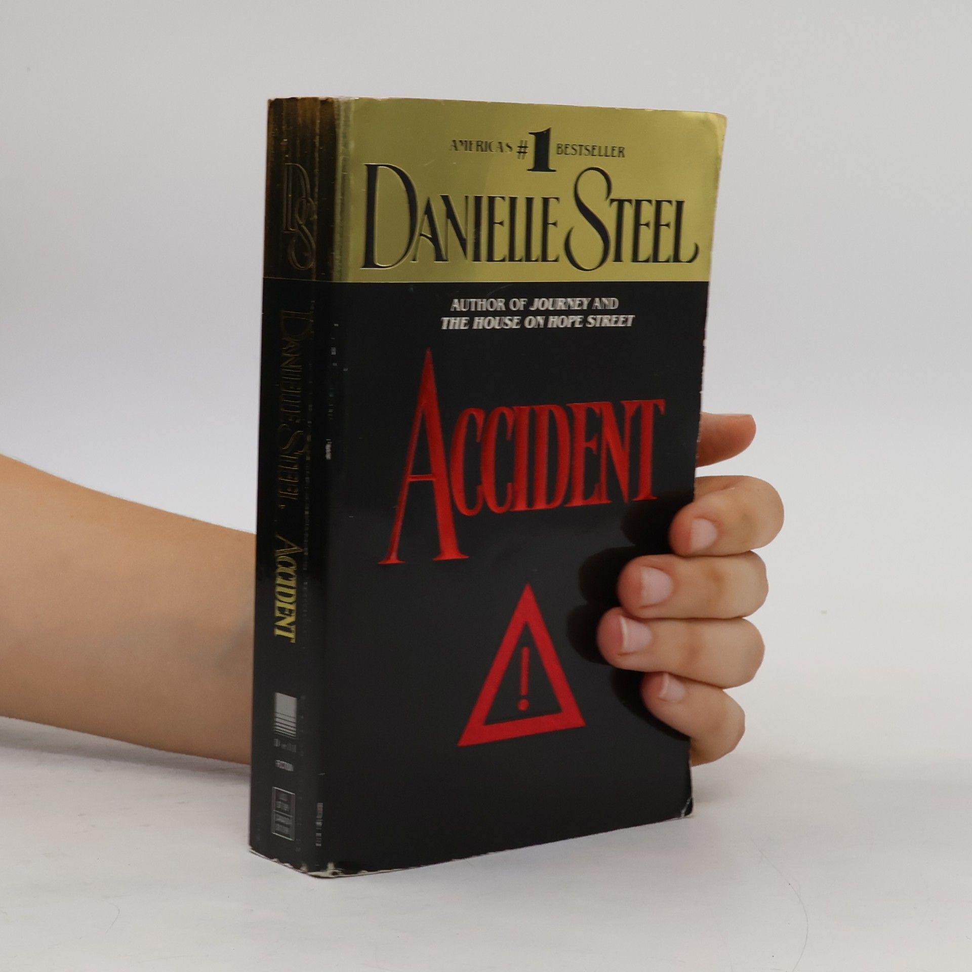 Danielle Steel Accident