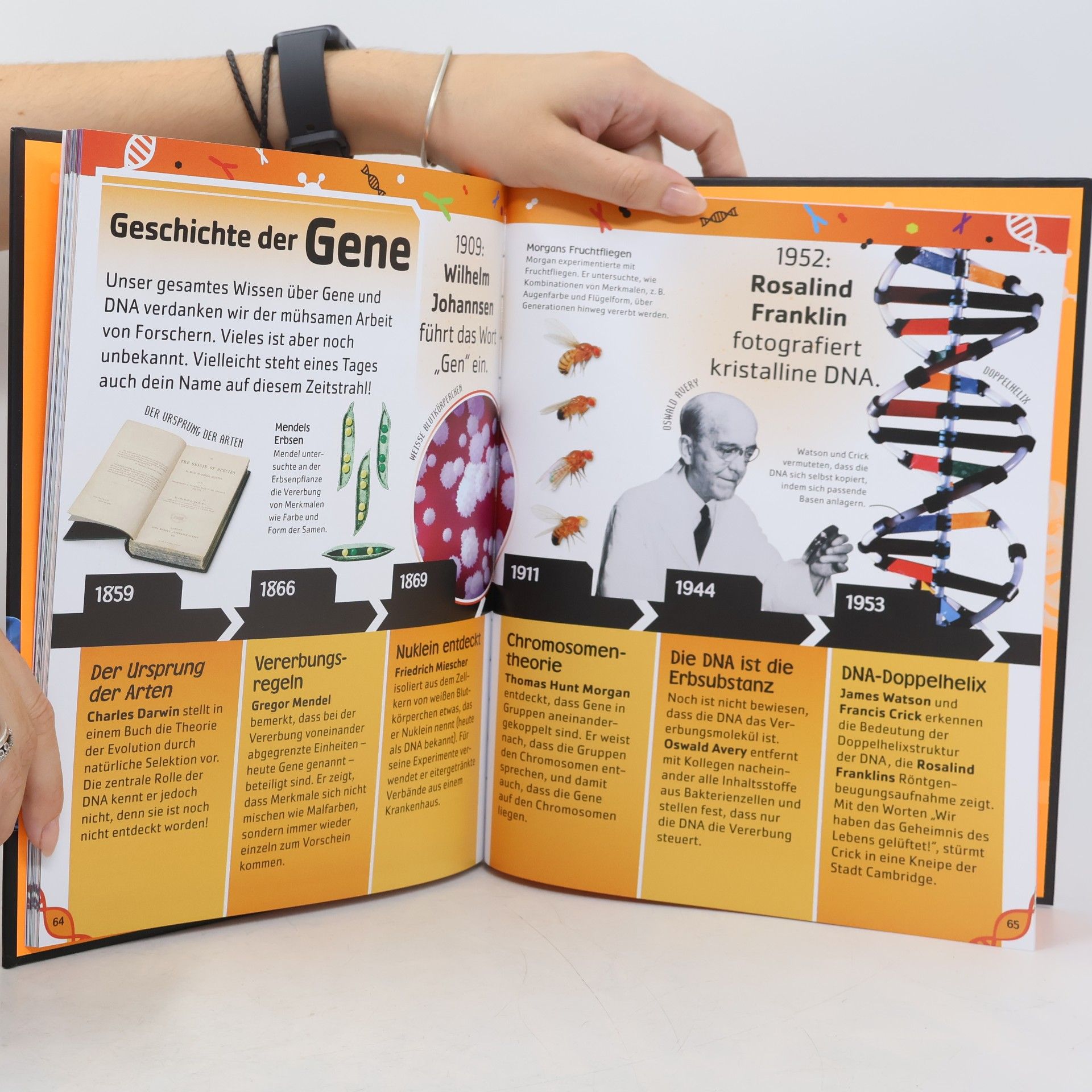 Sophie Gilbert Superschlaue Gene