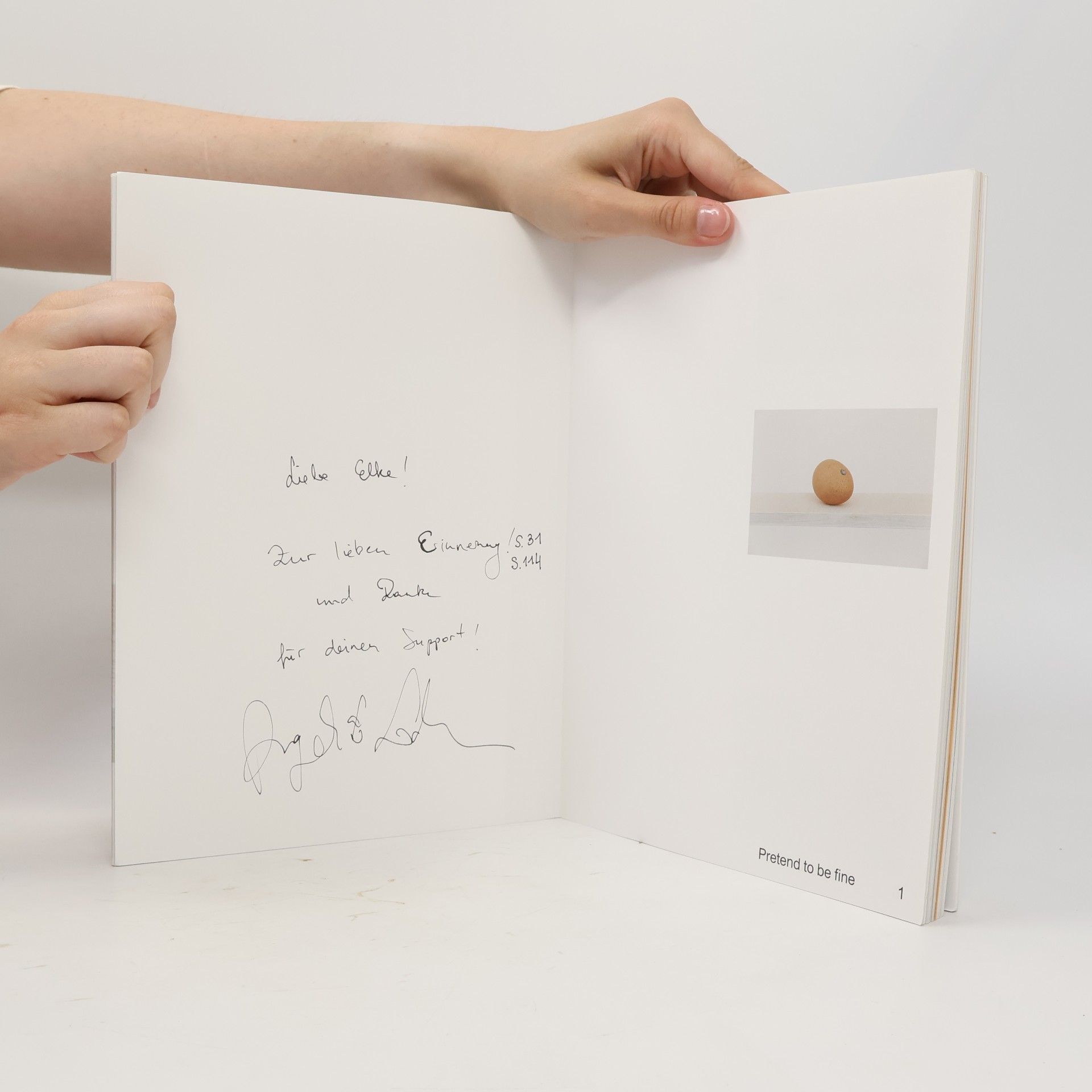Angelika Loderer Untitled (Book) 2009-19
