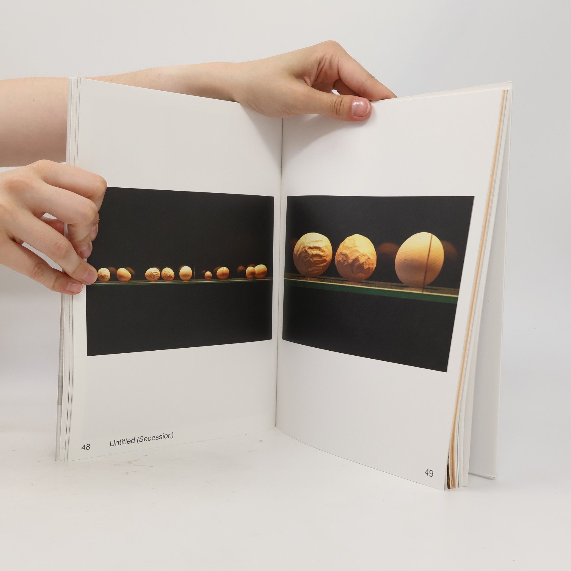 Angelika Loderer Untitled (Book) 2009-19
