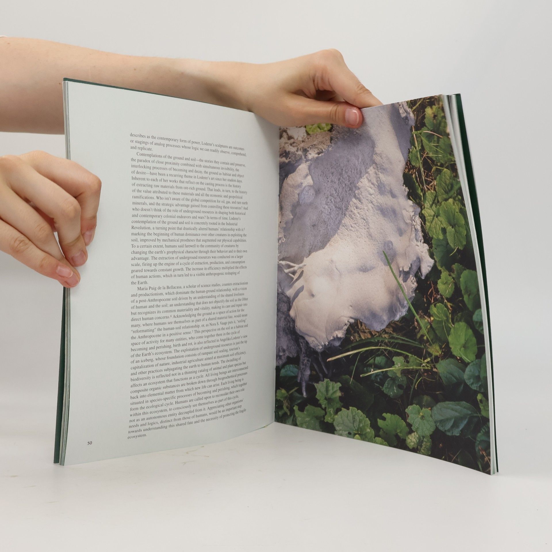 Stella Rollig Angelika Loderer. Soil Fictions