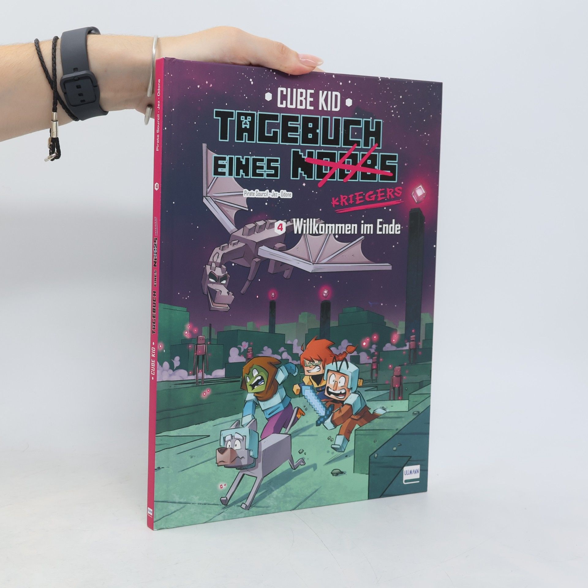 Piratesourcil Tagebuch eines Noobs Kriegers – Der Comic Bd. 4 – Willkommen im Ende