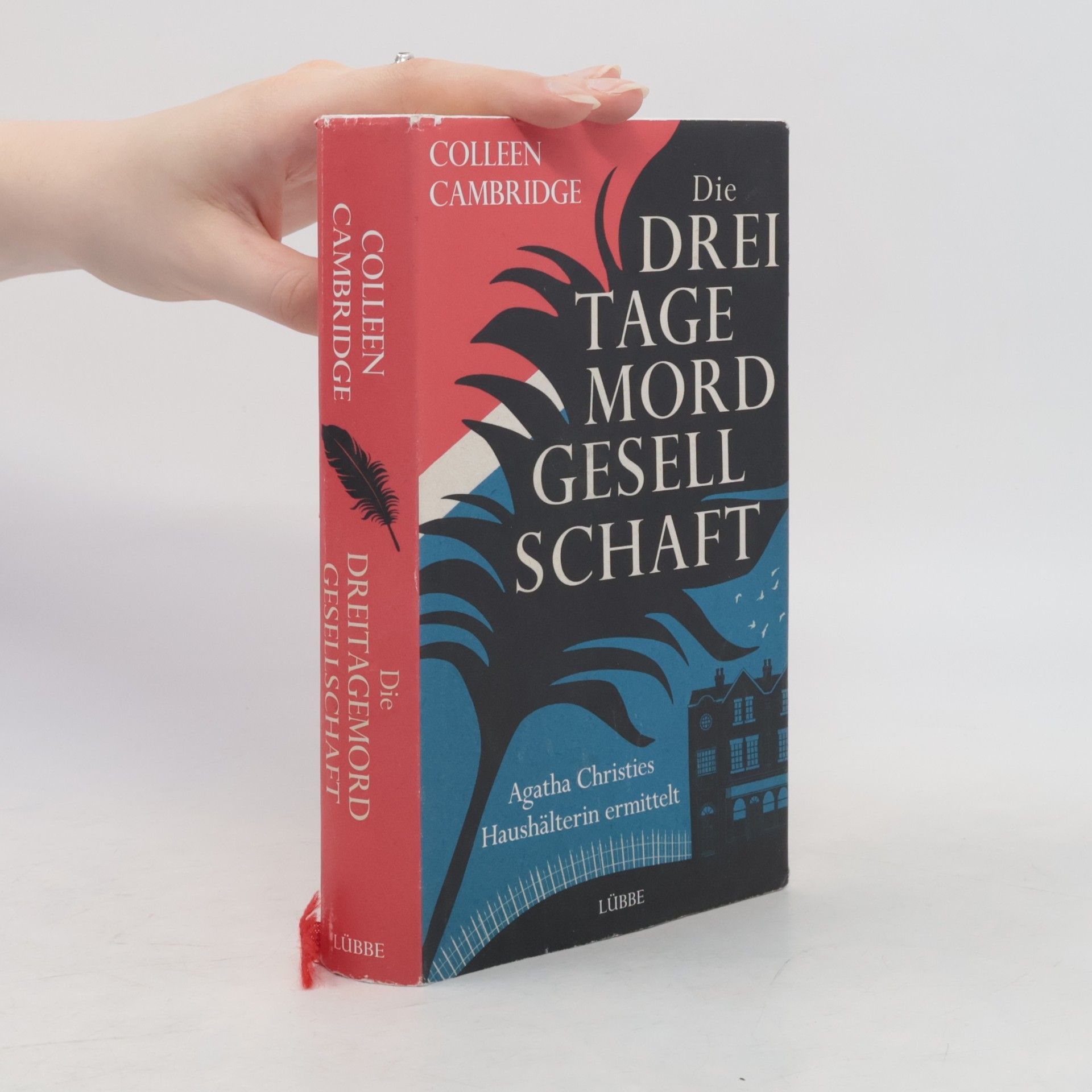 Colleen Cambridge Die Dreitagemordgesellschaft