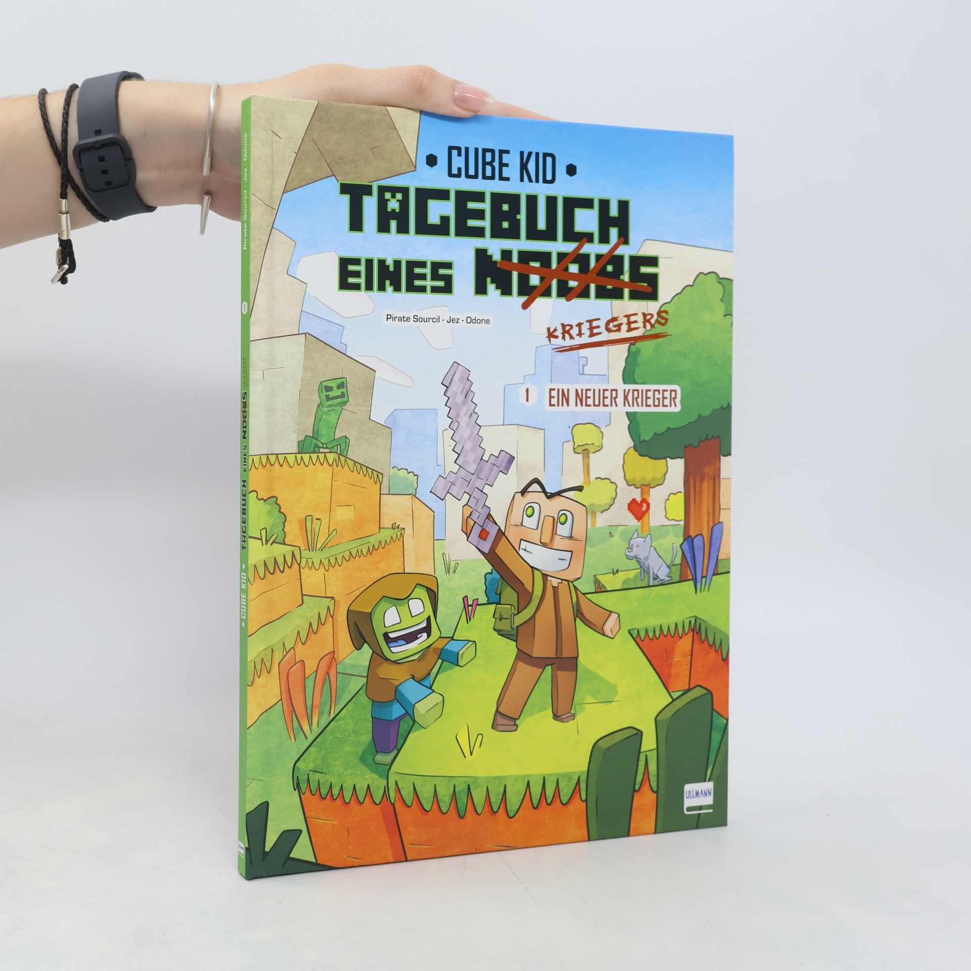 Cube Kid Tagebuch eines Noobs Kriegers