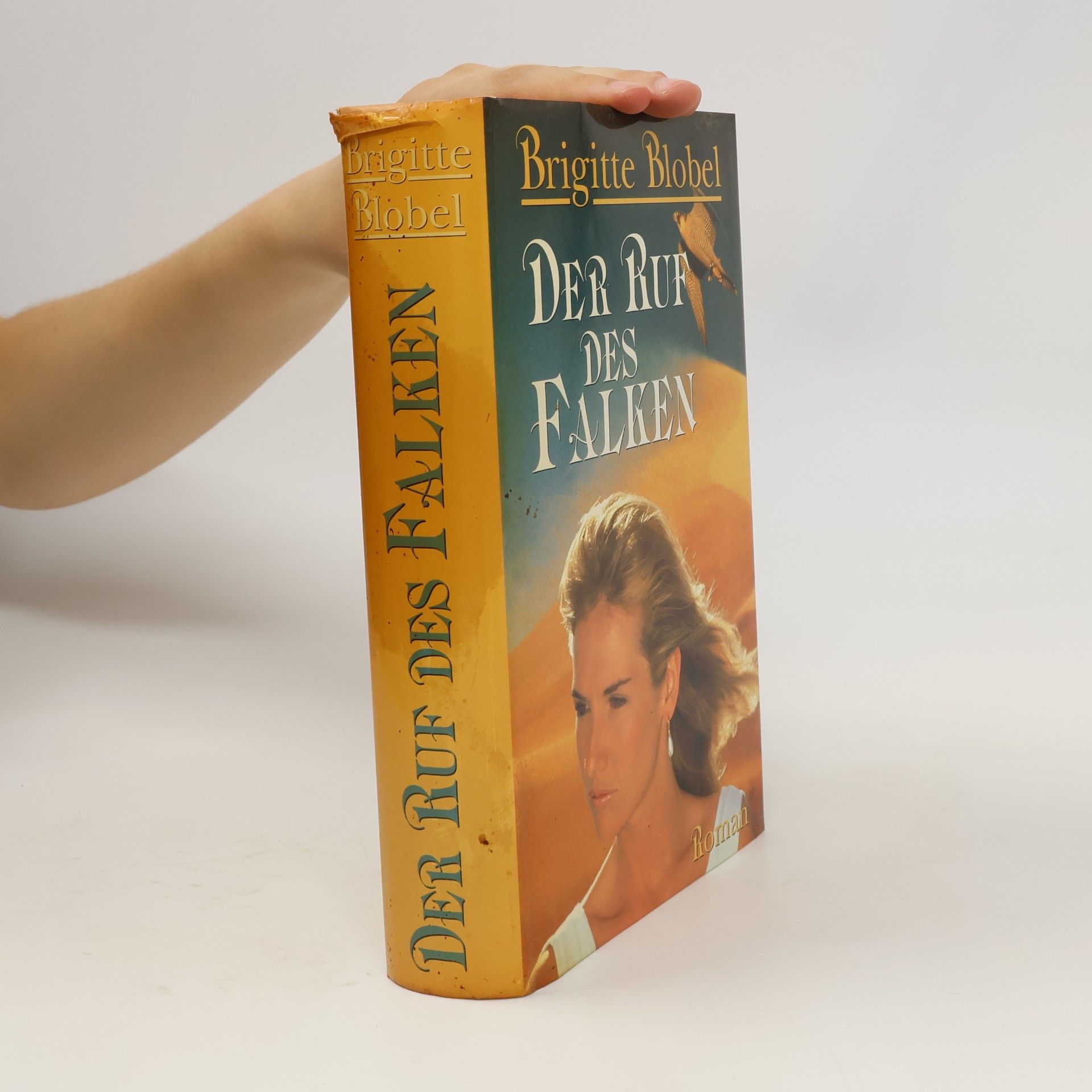 Brigitte Blobel Der Ruf des Falken