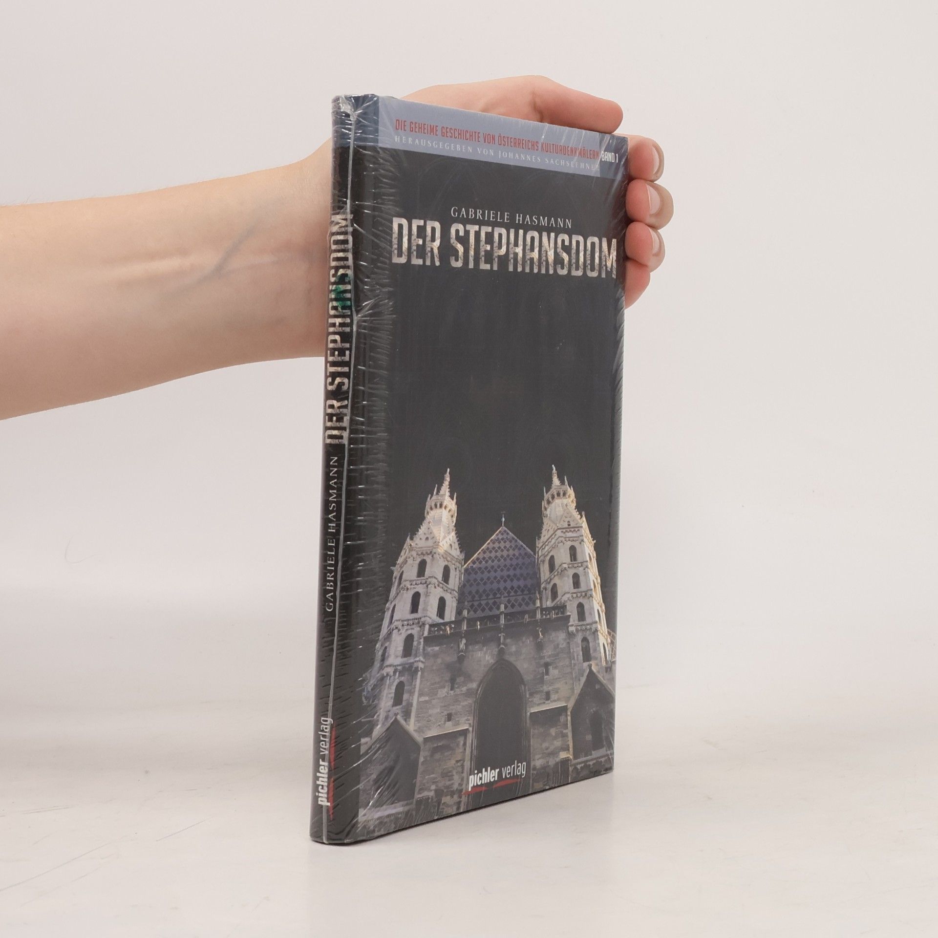 Gabriele Hasmann Der Stephansdom