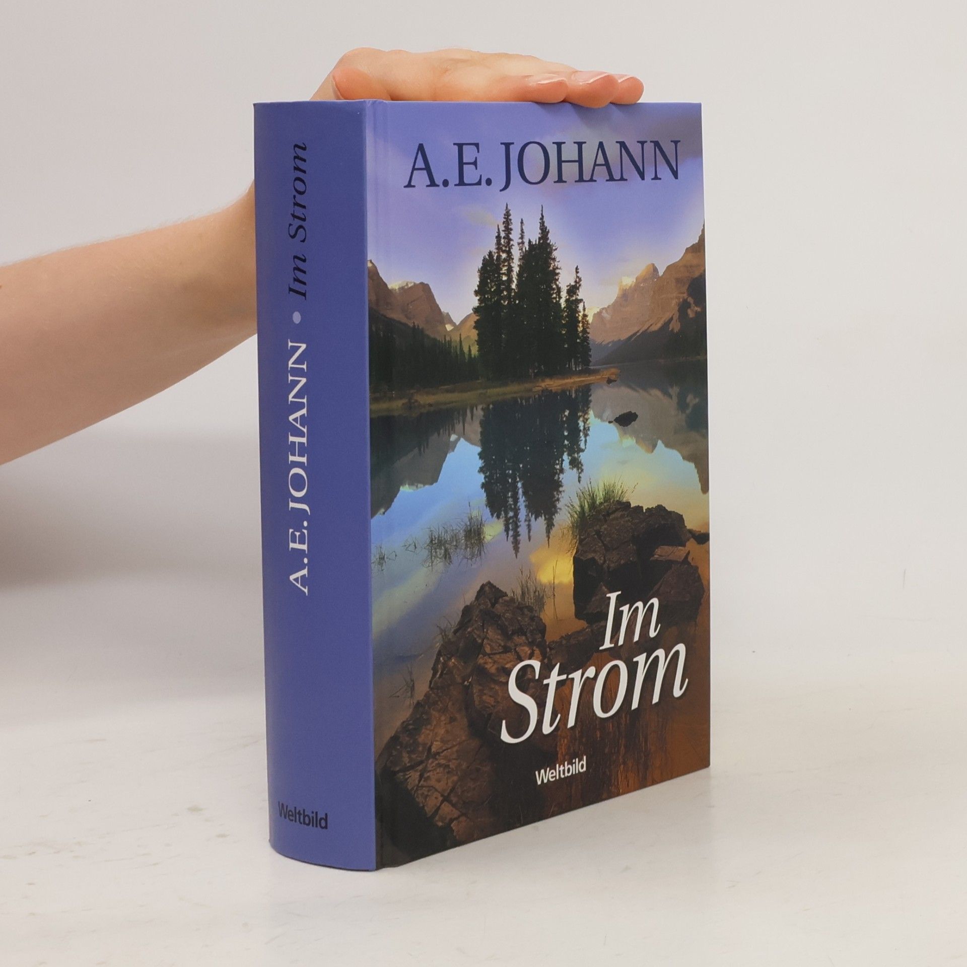 Alfred E. Johann Im Strom