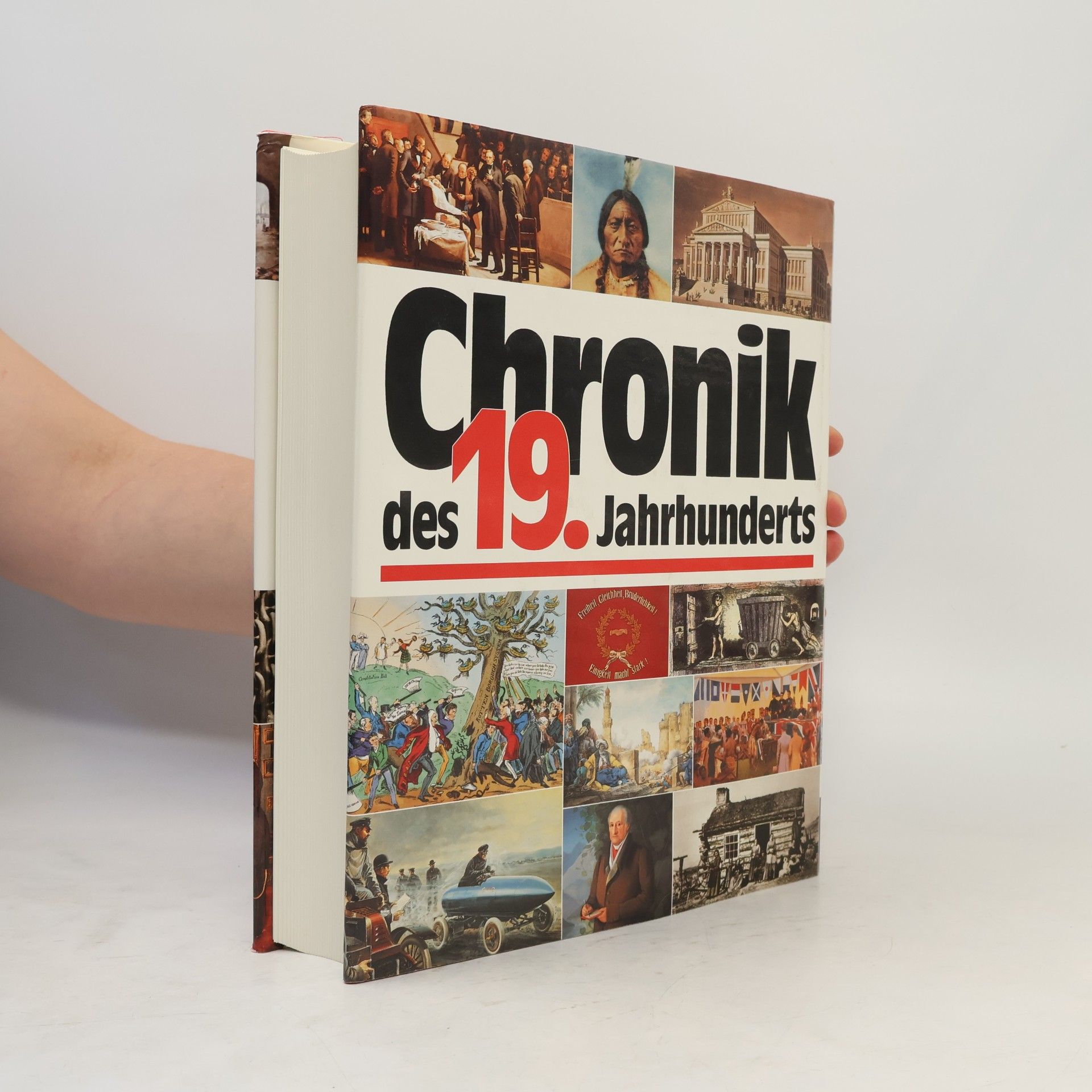 Imanuel Geiss Chronik des 19. Jahrhunderts