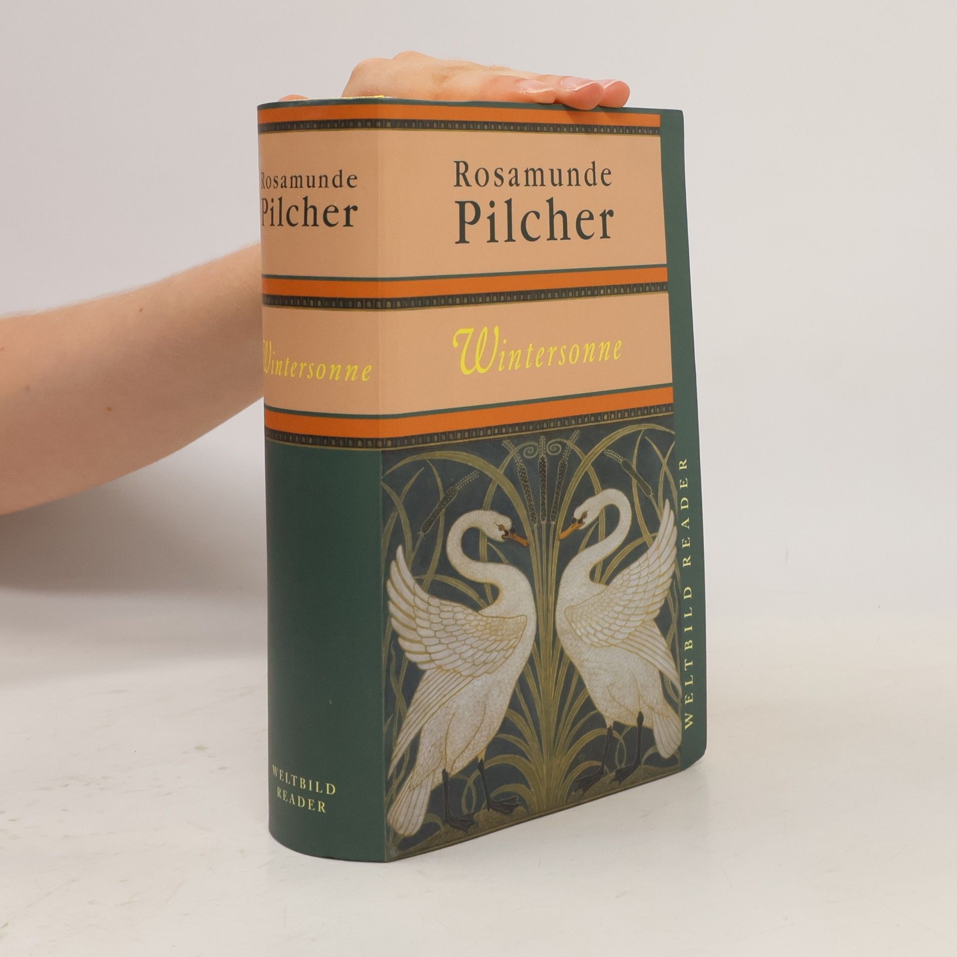 Rosamunde Pilcher Wintersonne