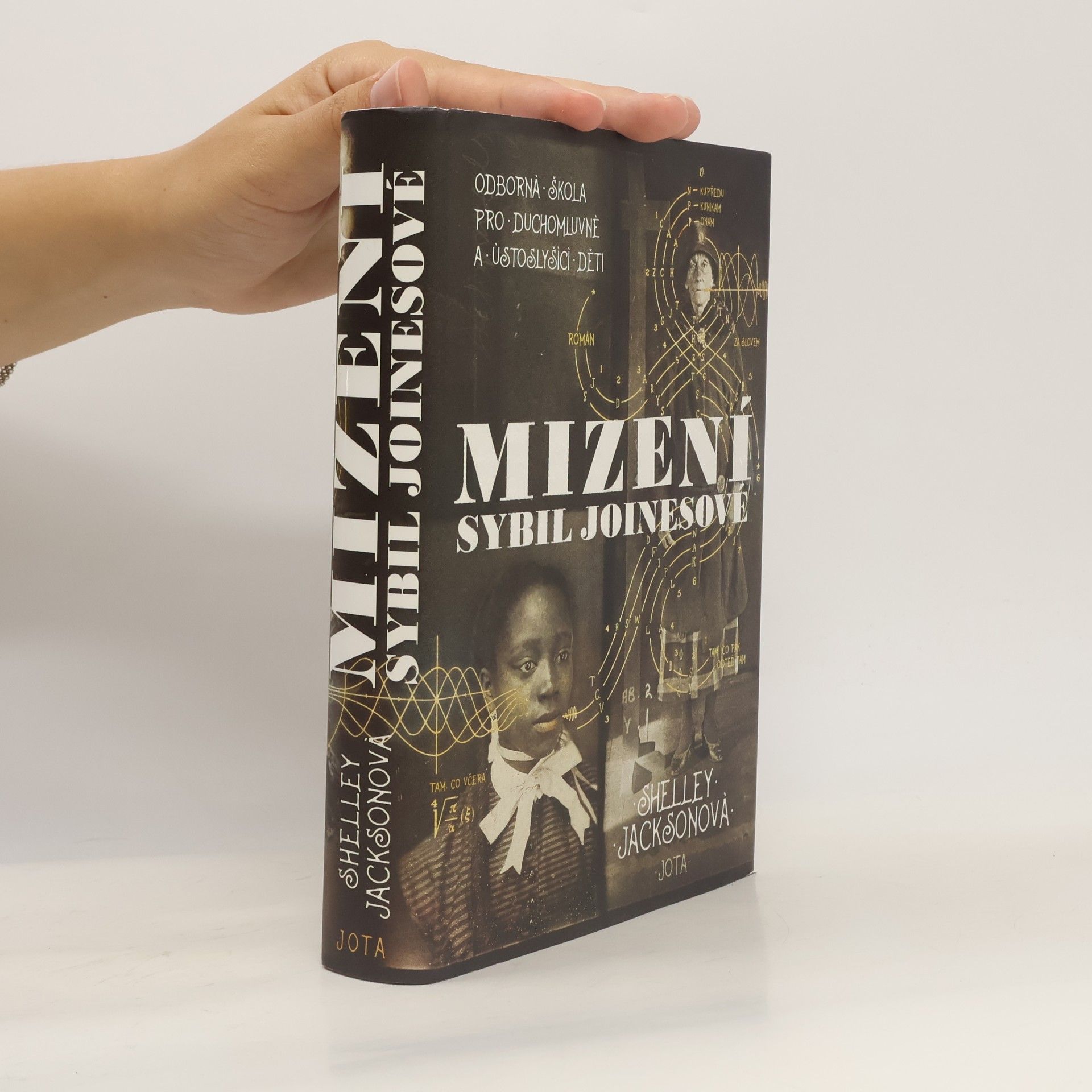 Shelley Jackson Mizení Sybil Joinesové