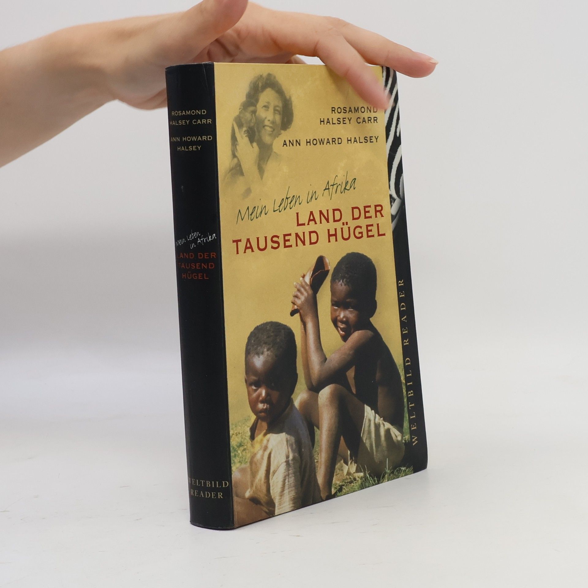 Rosamon Halsey Carr Land der tausend Hügel