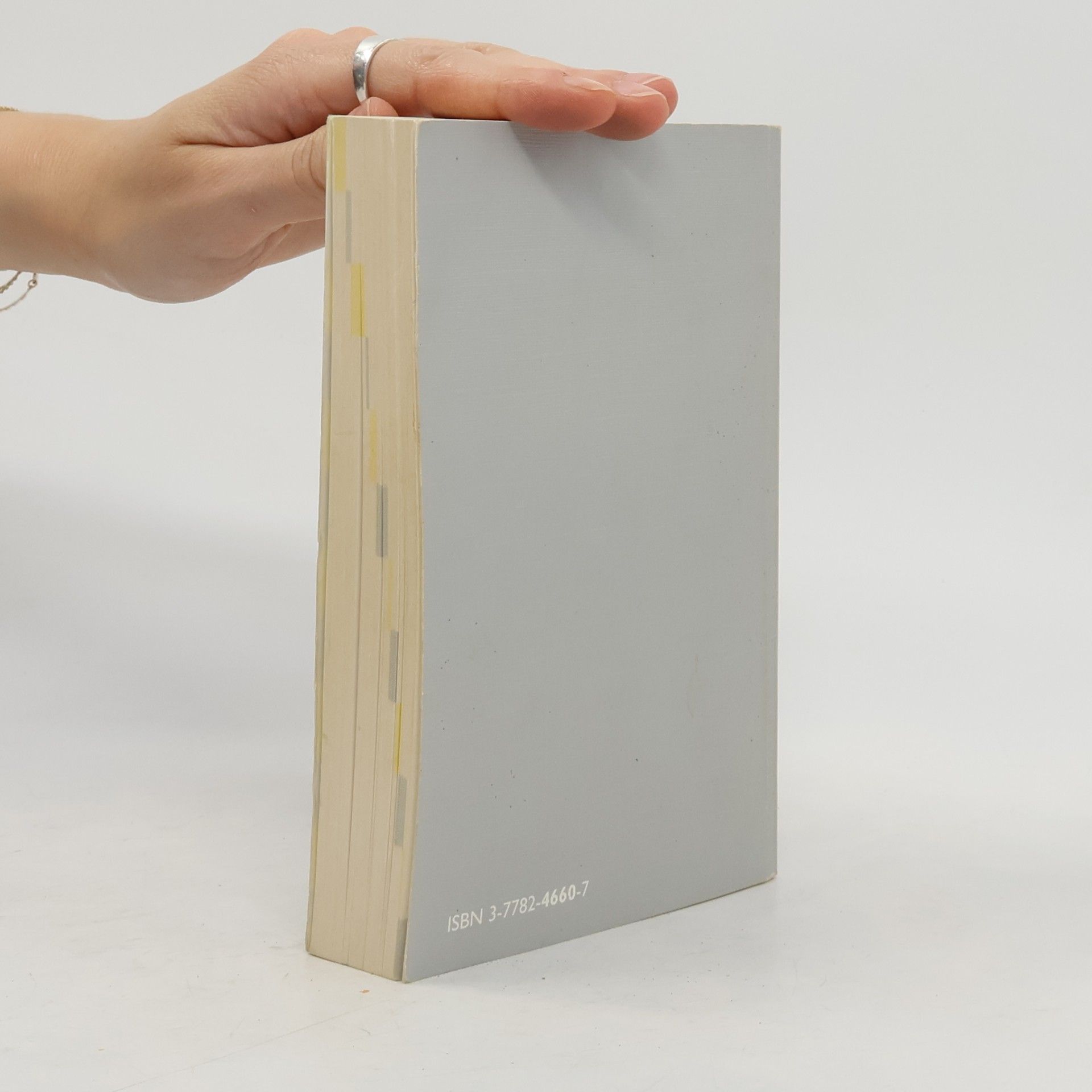 Wolfgang Bieneck Prüfungsbuch für Elektroberufe - 2. Auflage