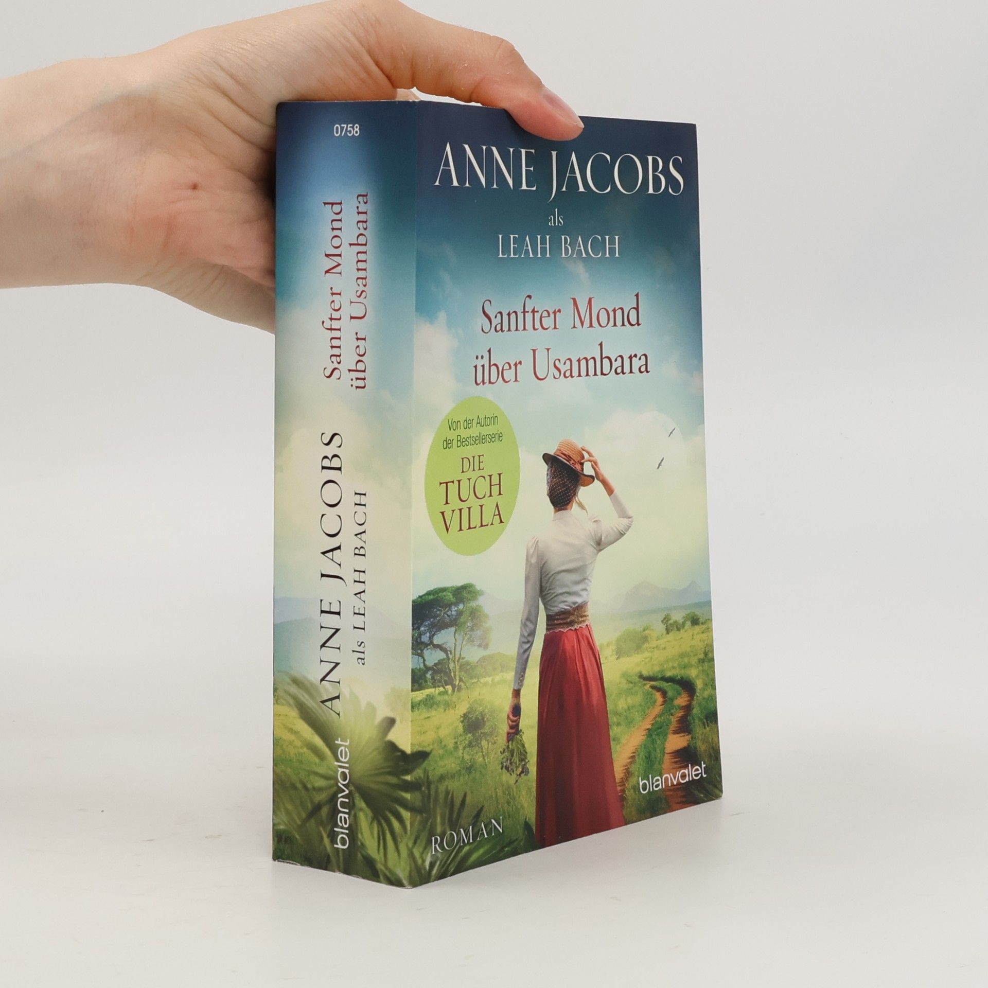 Anne Jacobs Sanfter Mond über Usambara