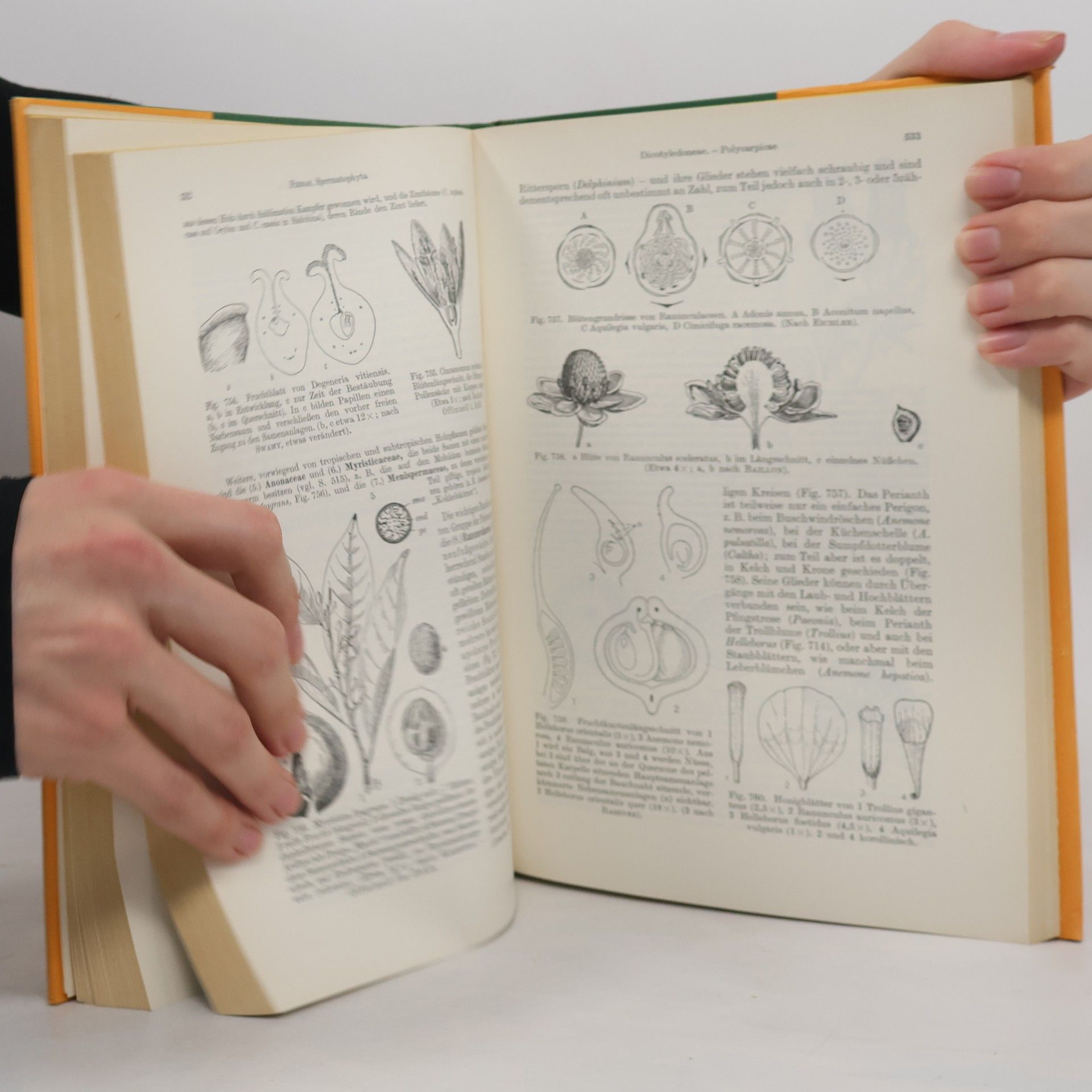 Autorenkollektiv Lehrbuch der Botanik für Hochschulen