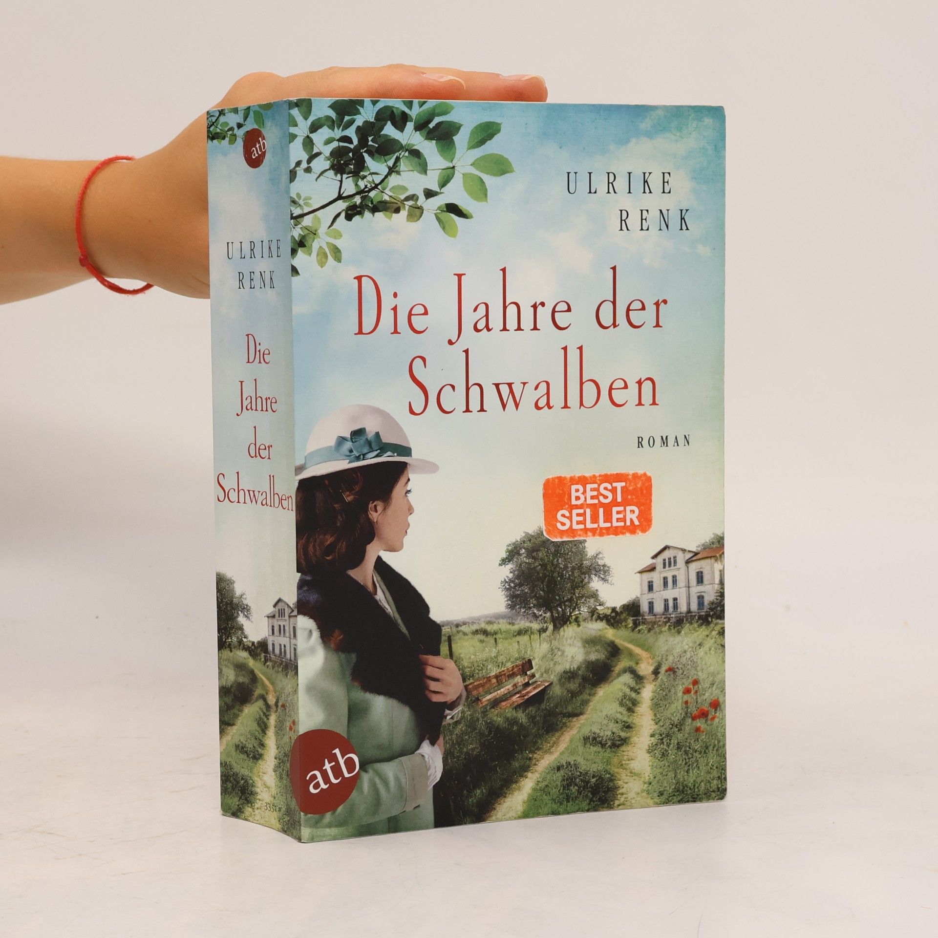 Ulrike Renk Die Jahre der Schwalben