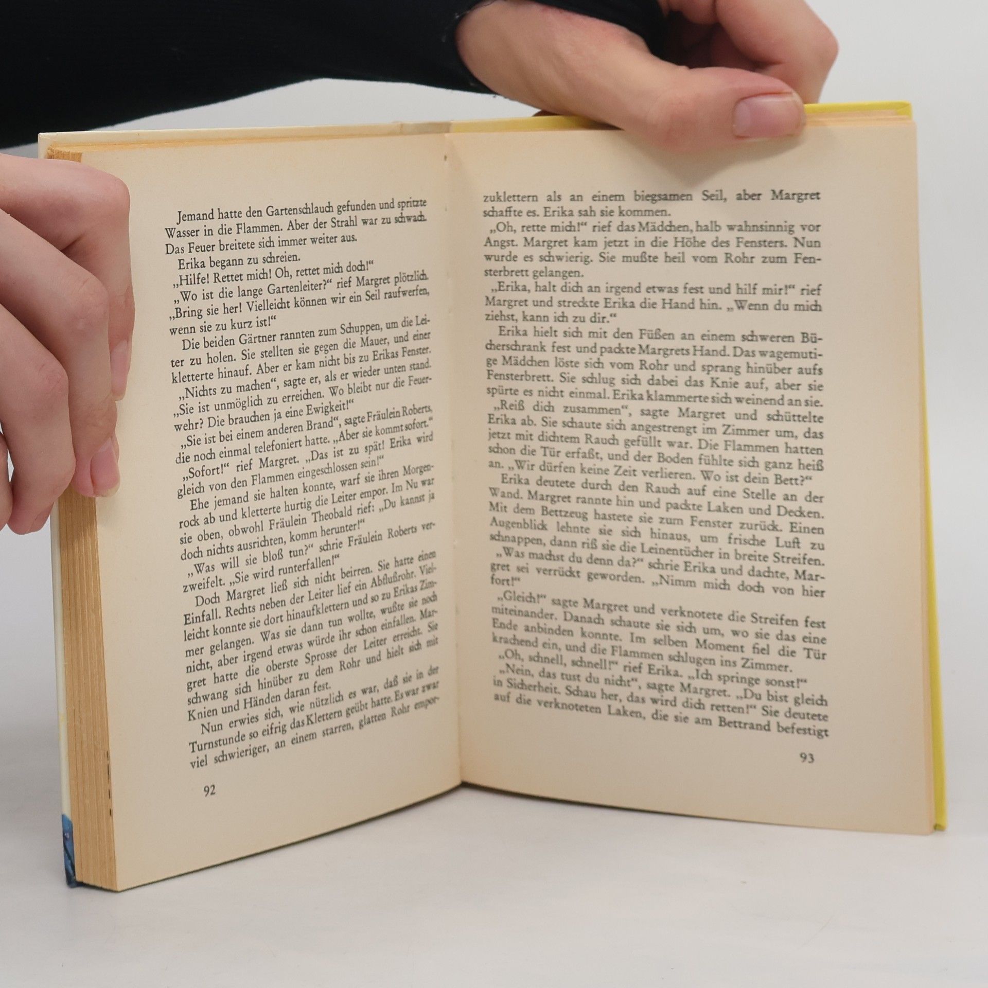 Enid Blyton Hanni und Nanni schmieden neue Pläne