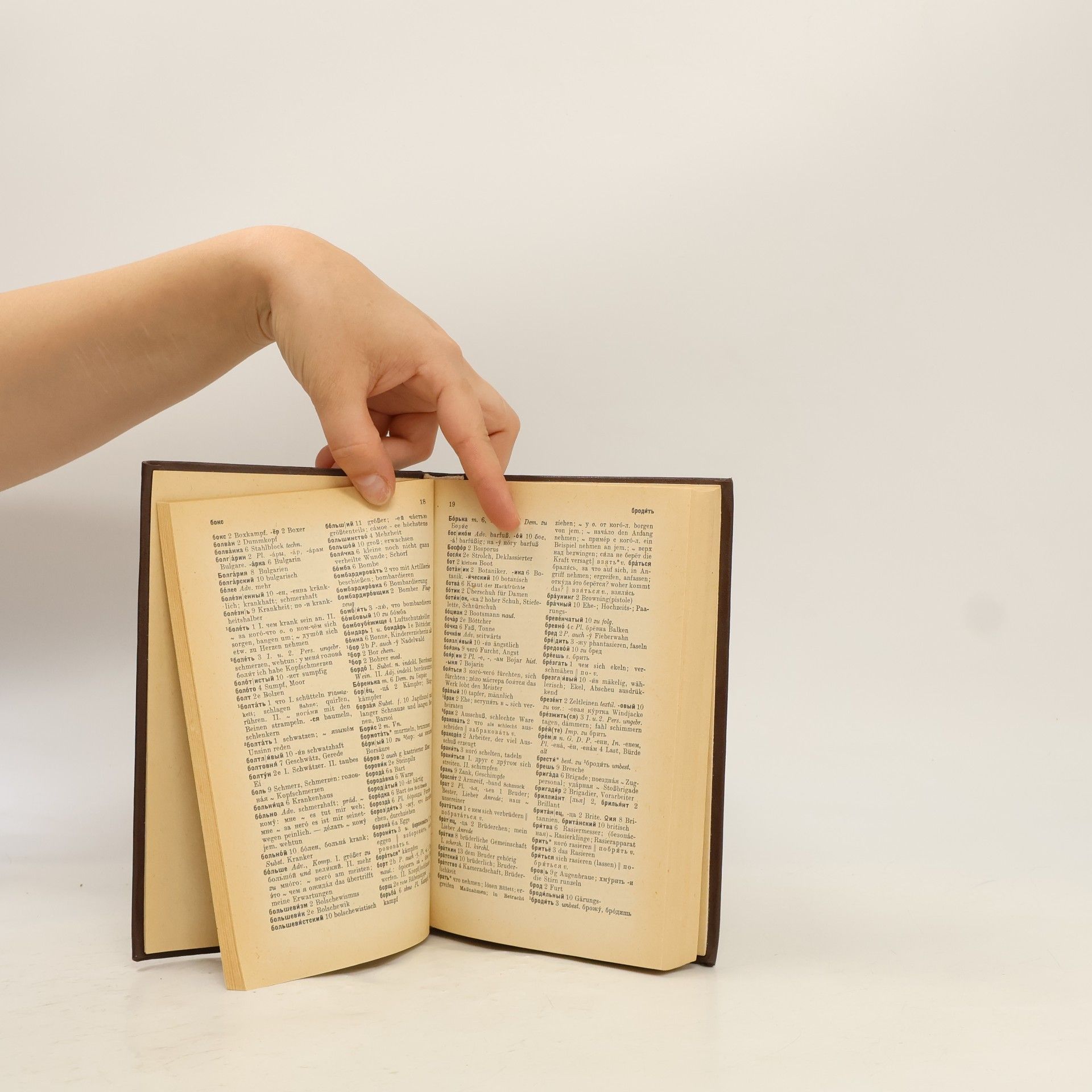 Hans Holm Bielfeldt Wörterbuch