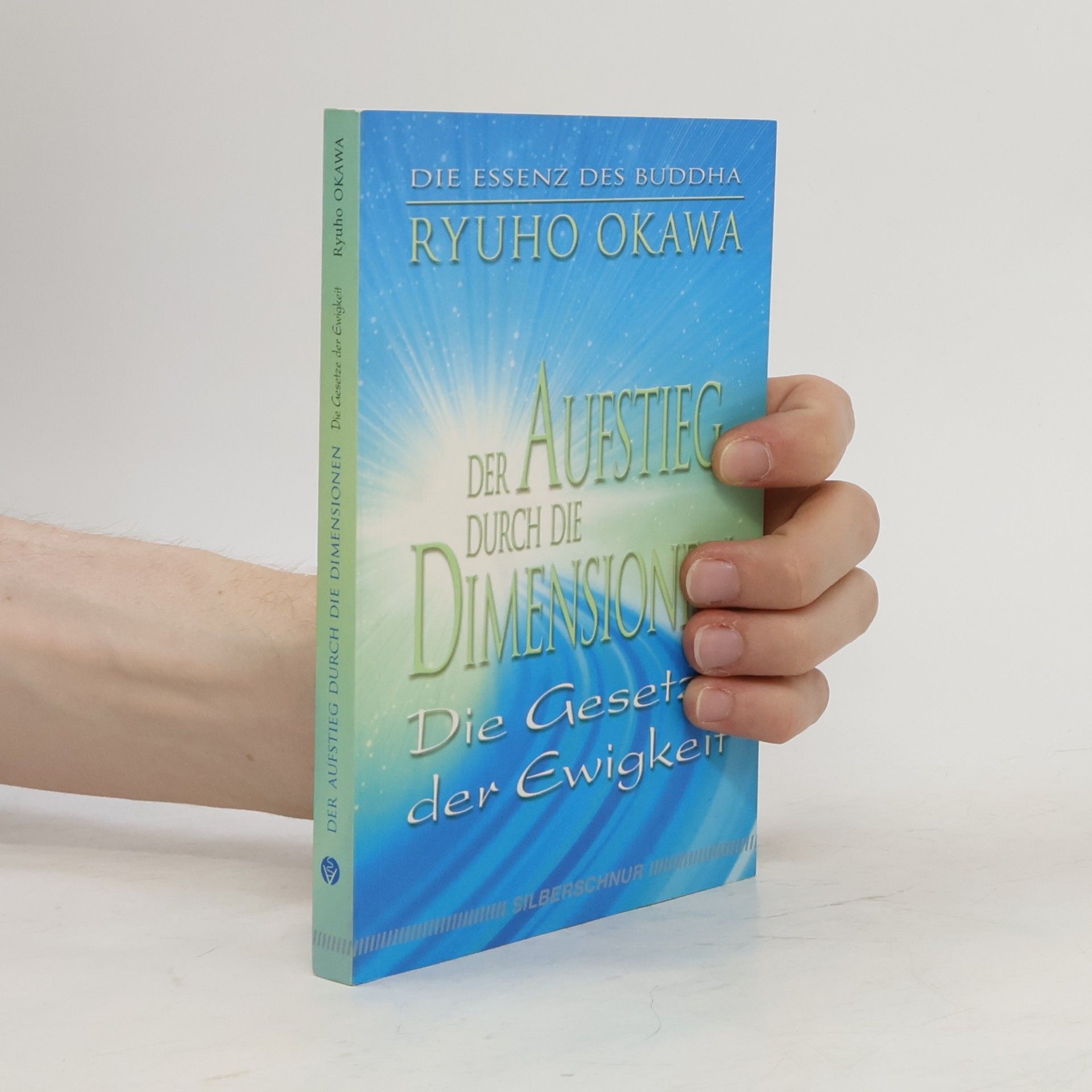 Der Aufstieg durch die Dimension
