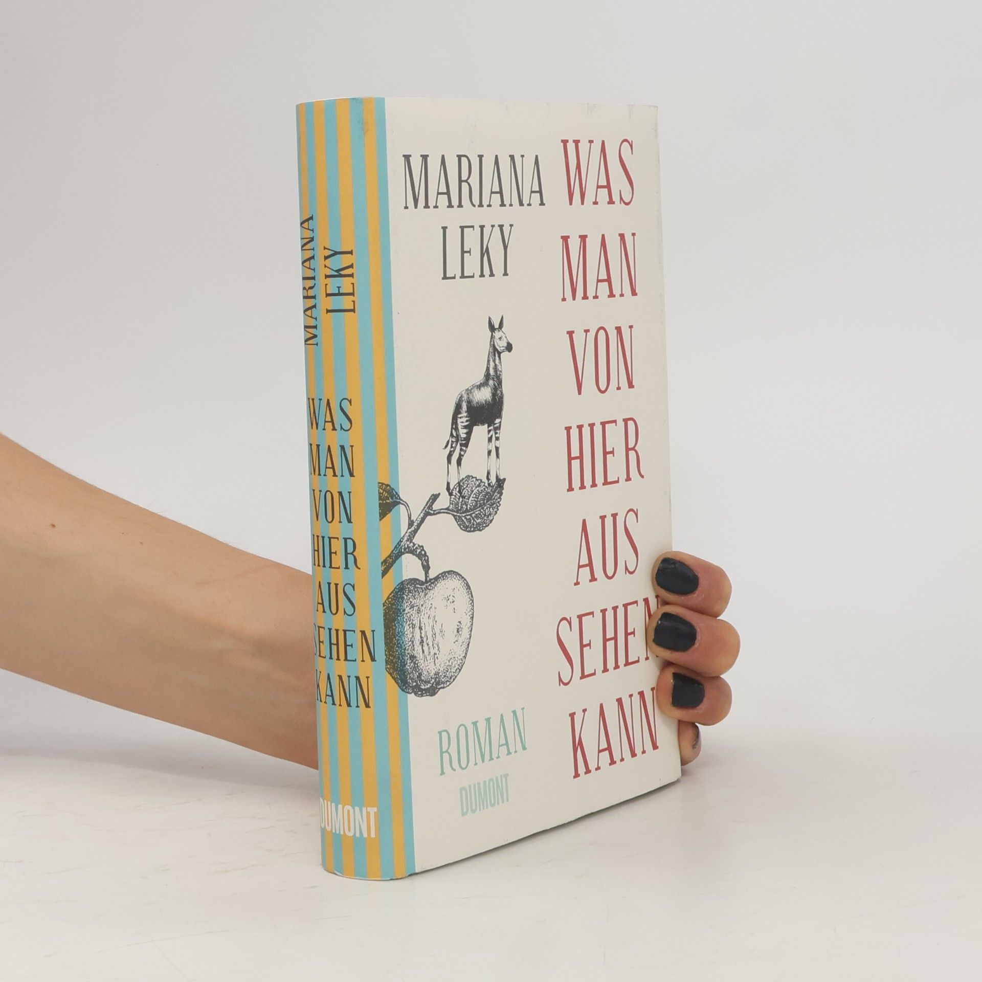 Mariana Leky Was man von hier aus sehen kann