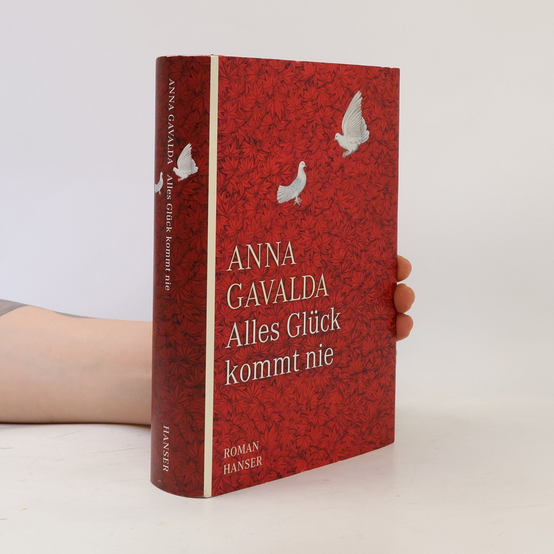 Anna Gavalda Alles Glück kommt nie