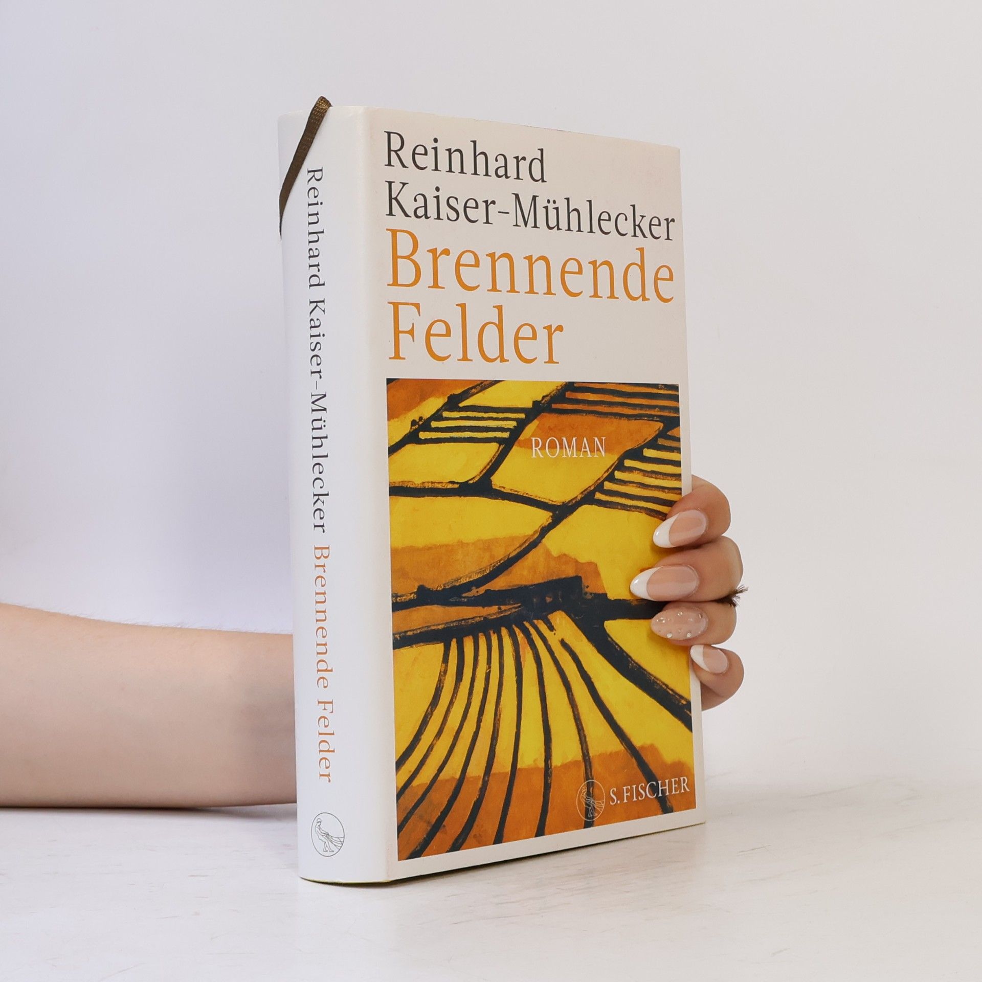 Reinhard Kaiser-Mühlecker Brennende Felder