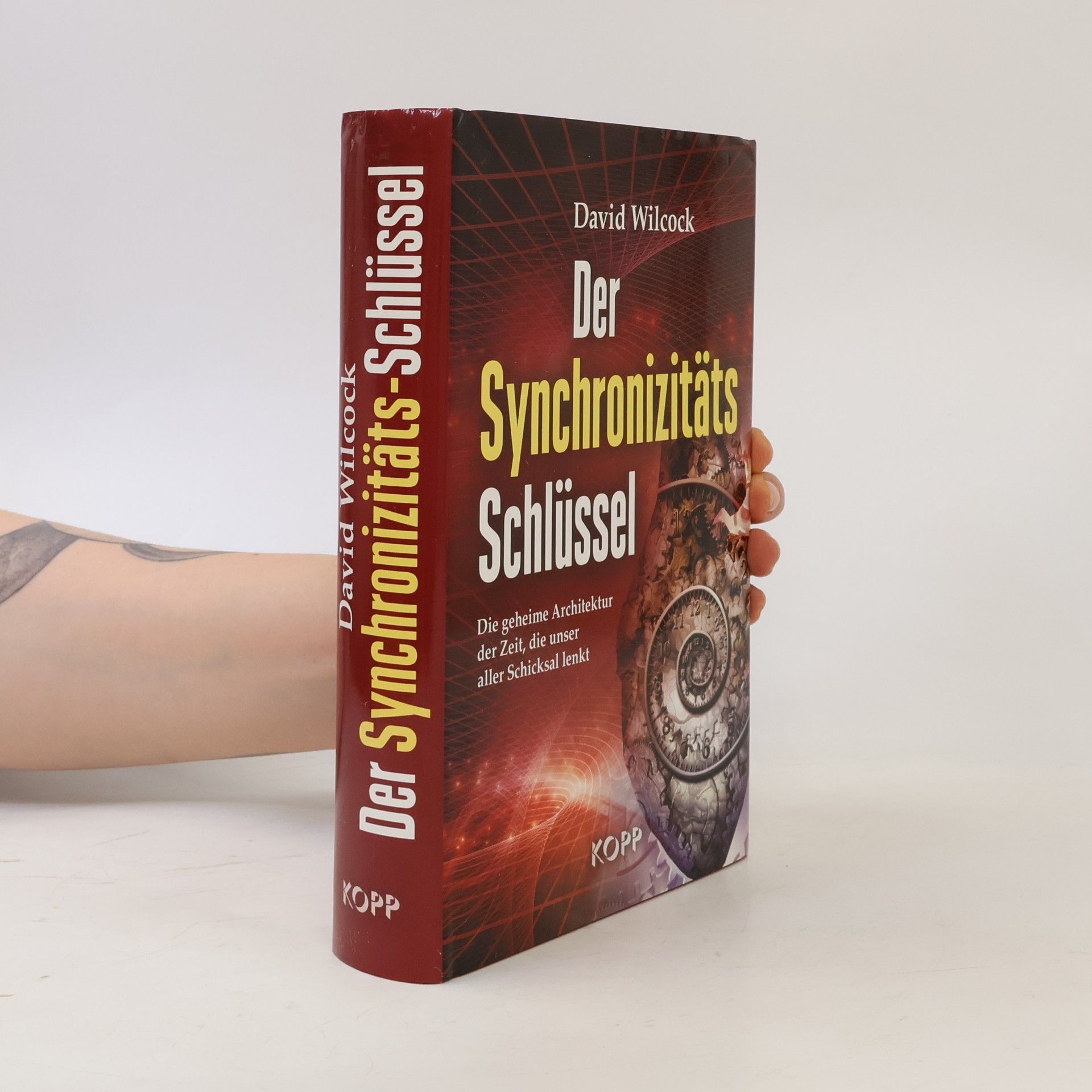 David Wilcock Der Synchronizitäts-Schlüssel