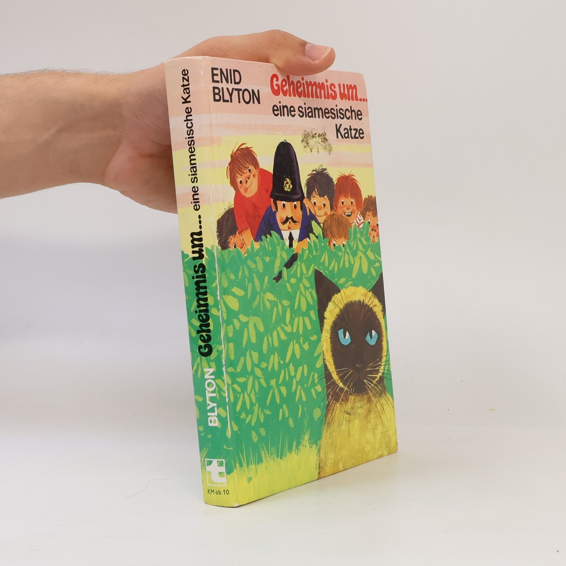 Enid Blyton Geheimnis um... eine siamesische Katze