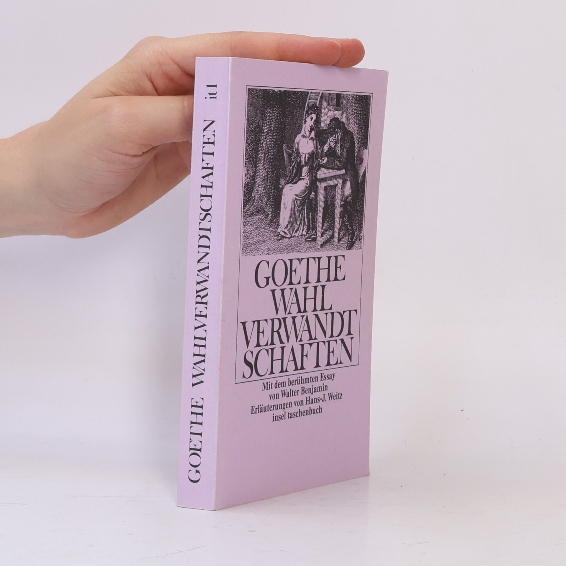 Johann Wolfgang von Goethe Die Wahlverwandtschaften