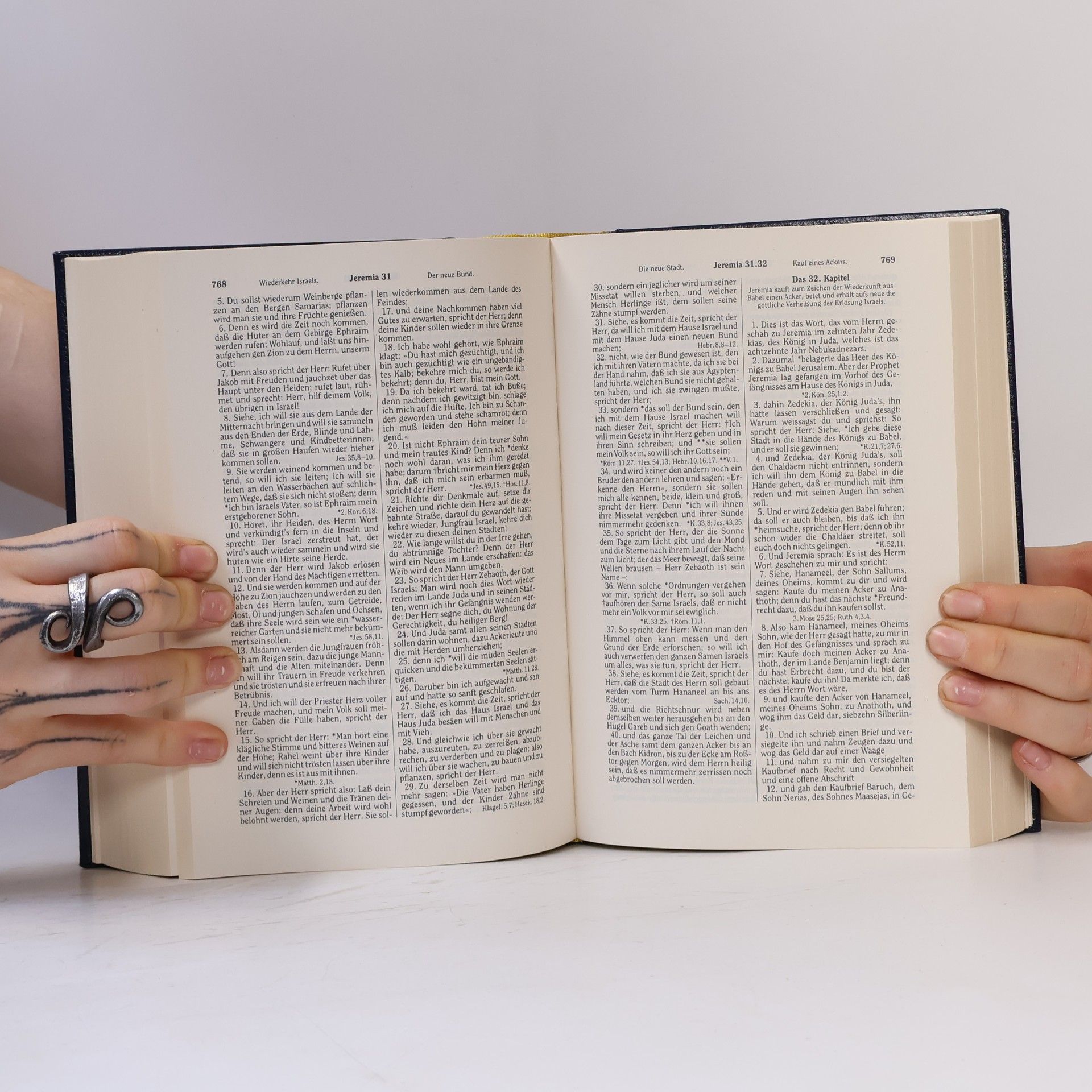 Martin Luther Die Bibel oder die ganze Heilige Schrift des Alten und Neuen Testaments