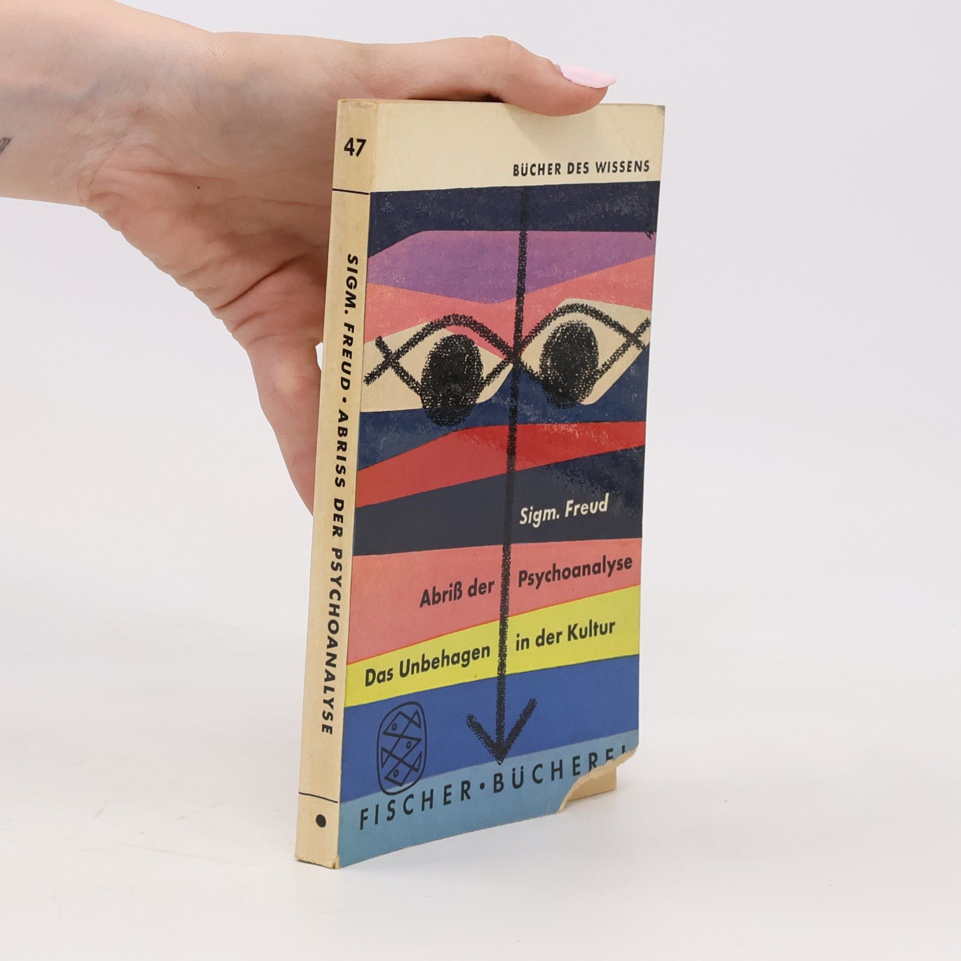 Sigmund Freud Abriß der Psychoanalyse