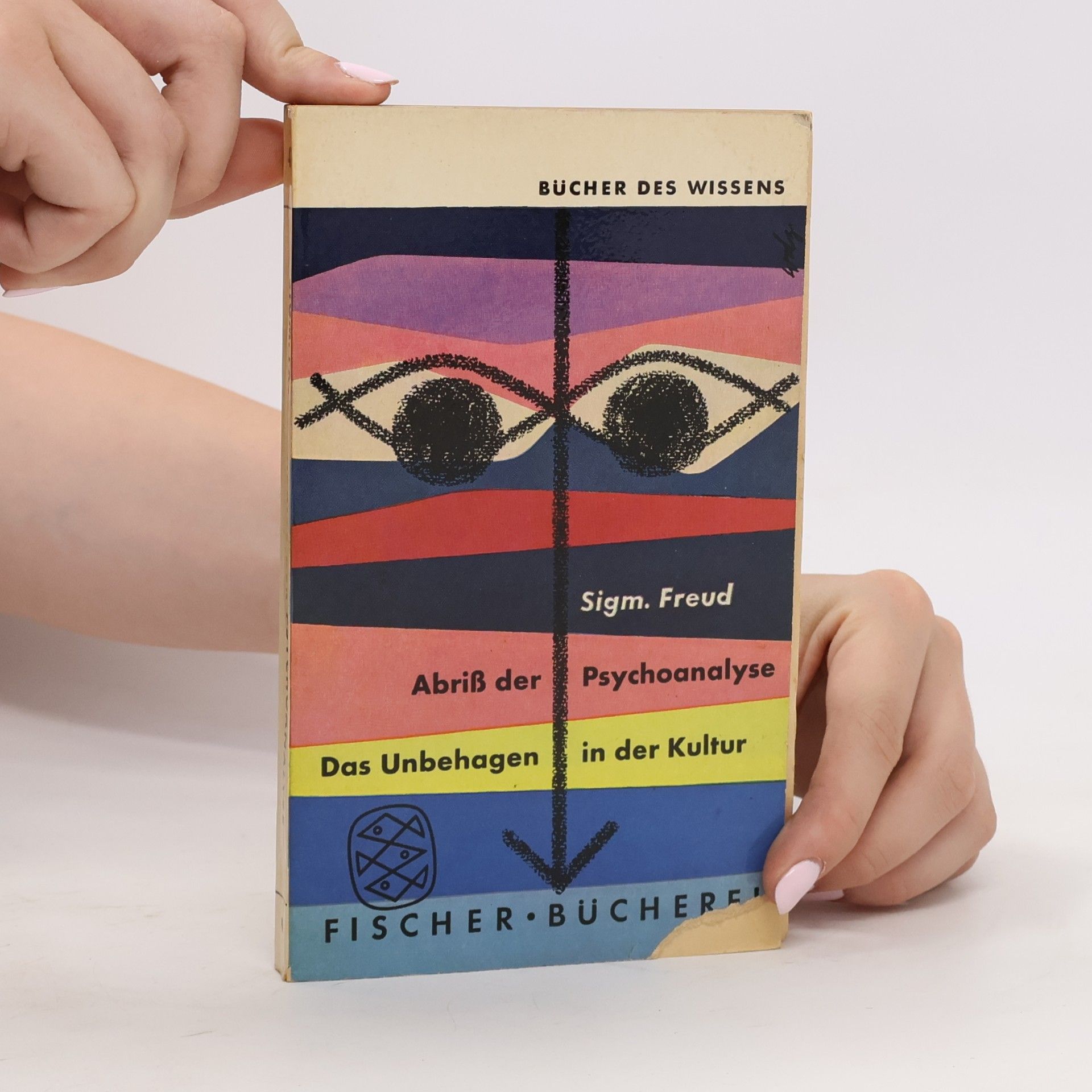 Sigmund Freud Abriß der Psychoanalyse