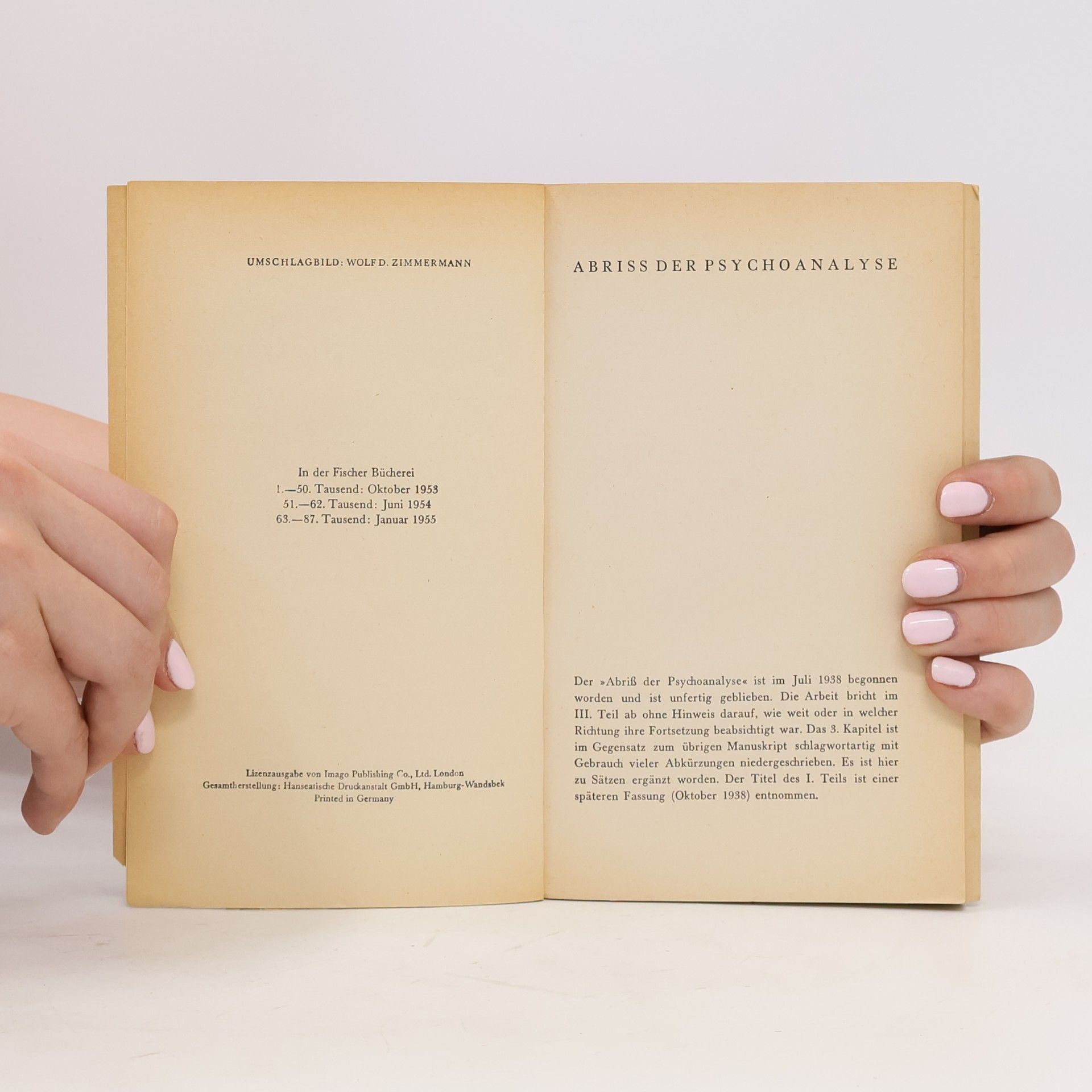 Sigmund Freud Abriß der Psychoanalyse