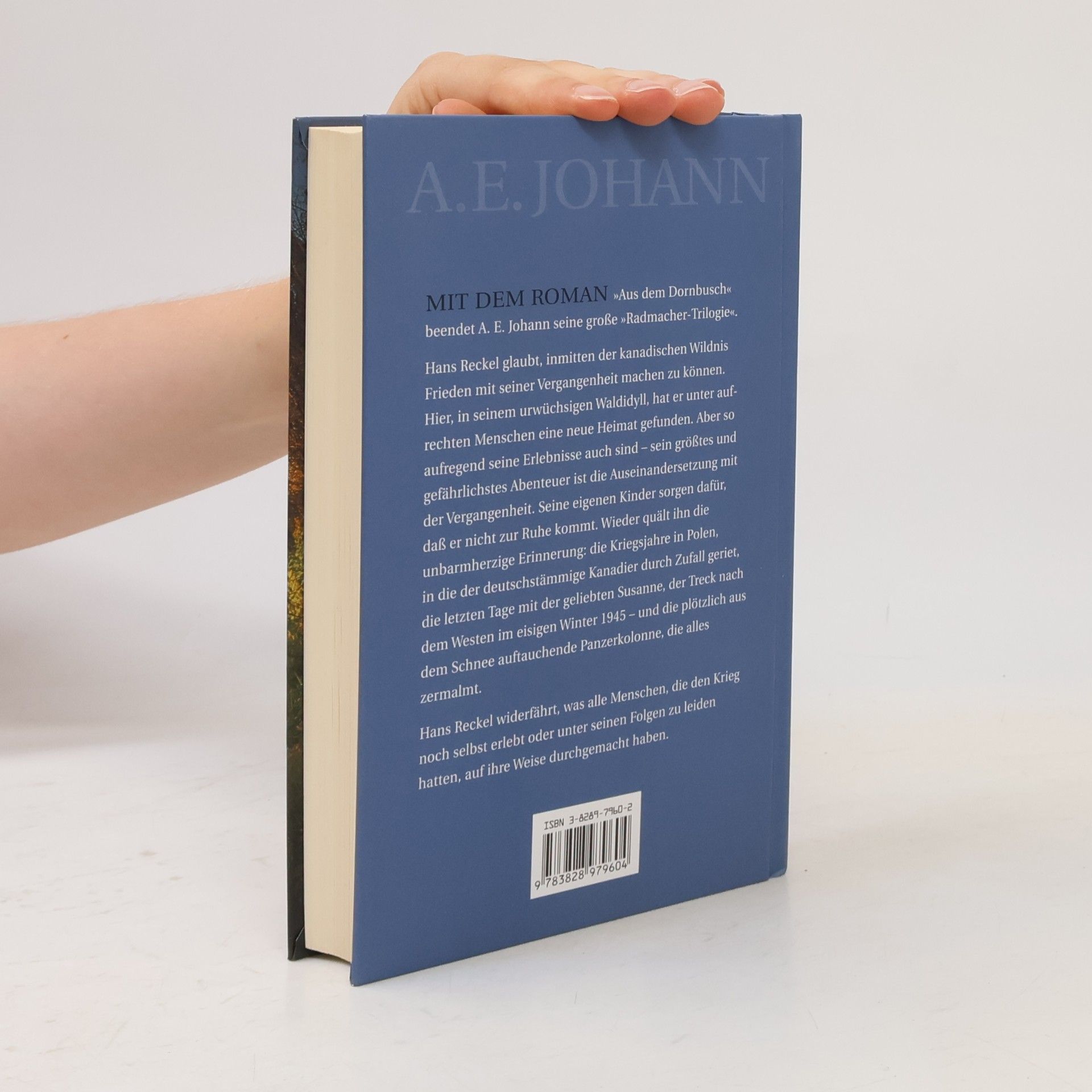 Alfred E. Johann Aus dem Dornbusch