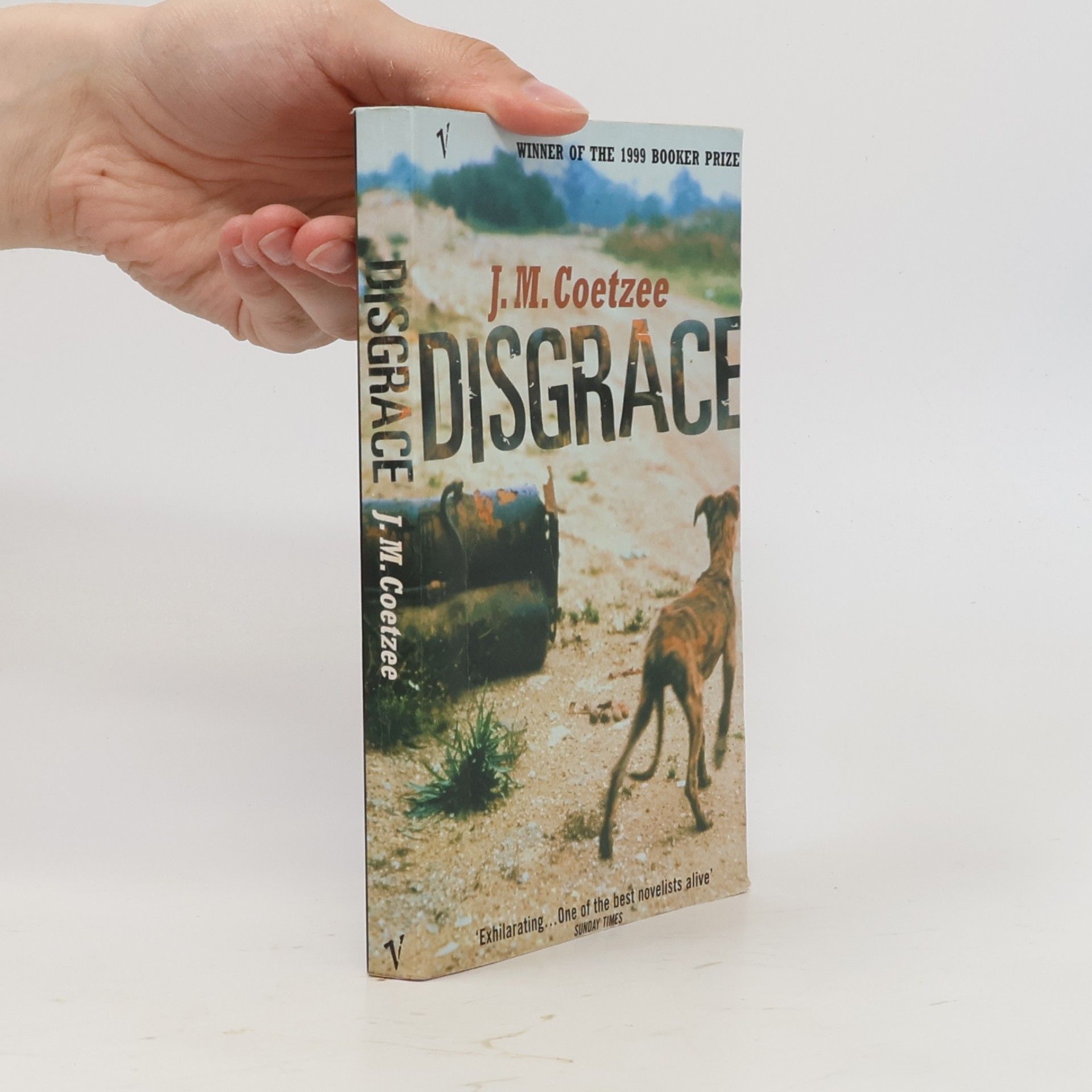 John Maxwell Coetzee Disgrace
