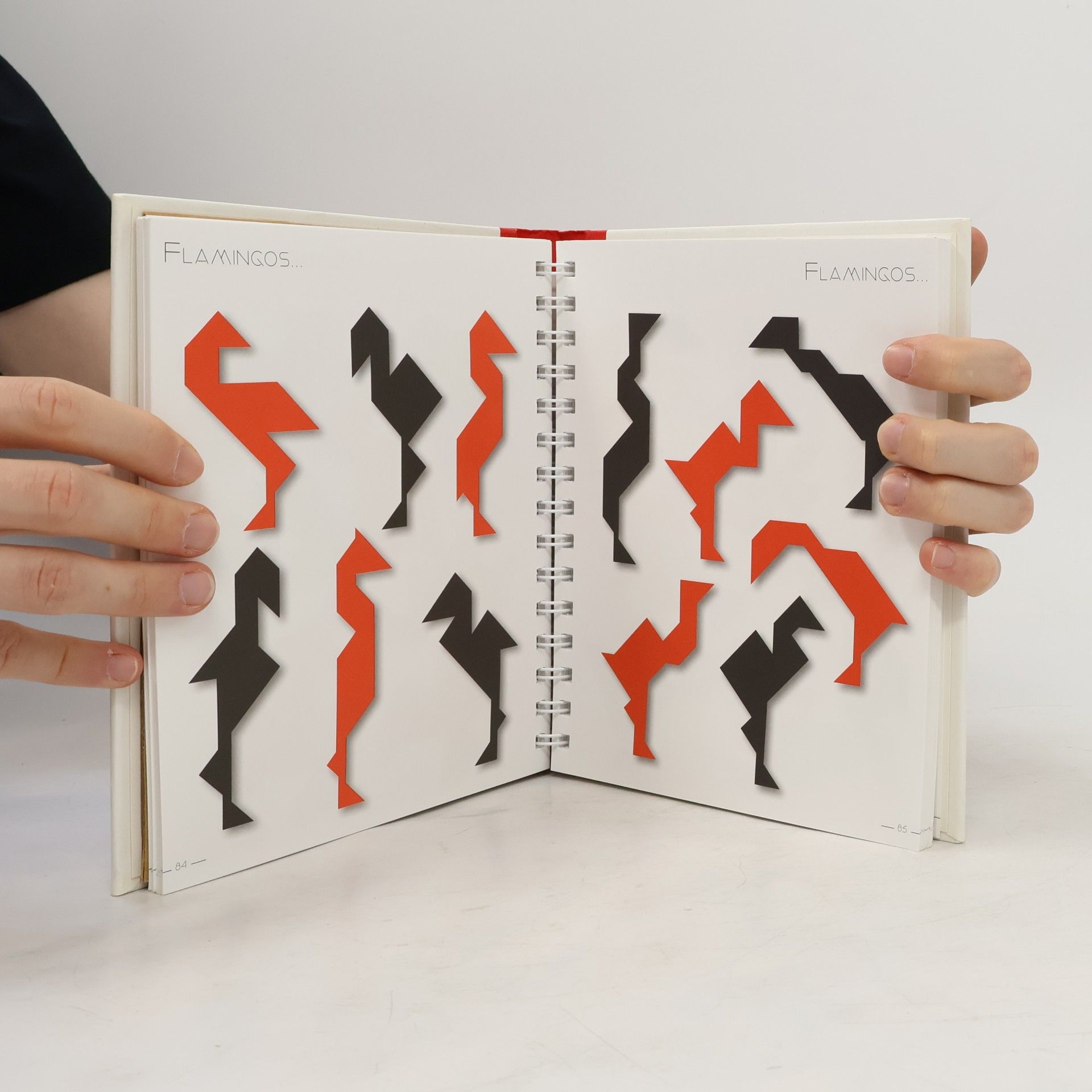 Daniel Picon Tangram