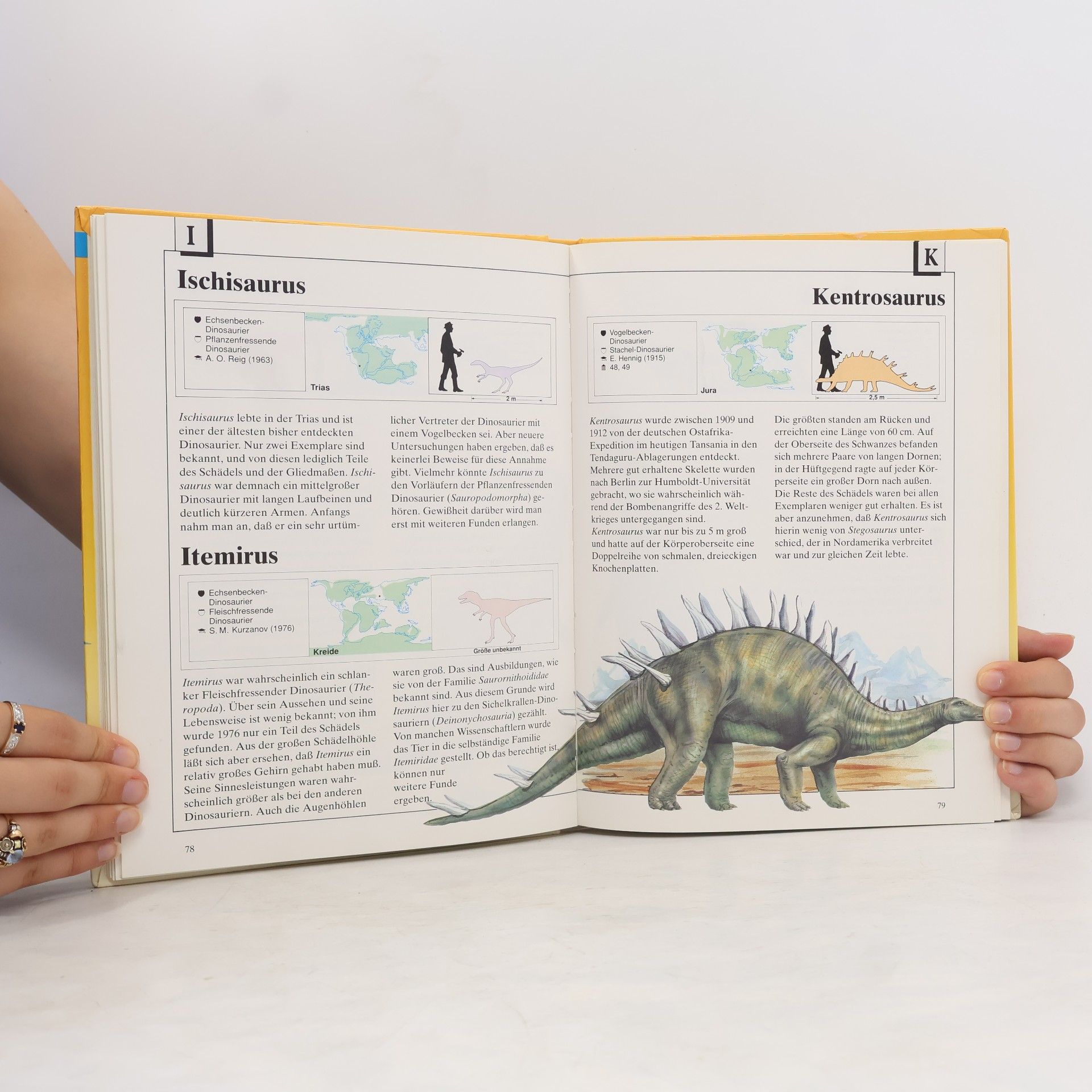 Michael J. Benton Dinosaurier von A - Z