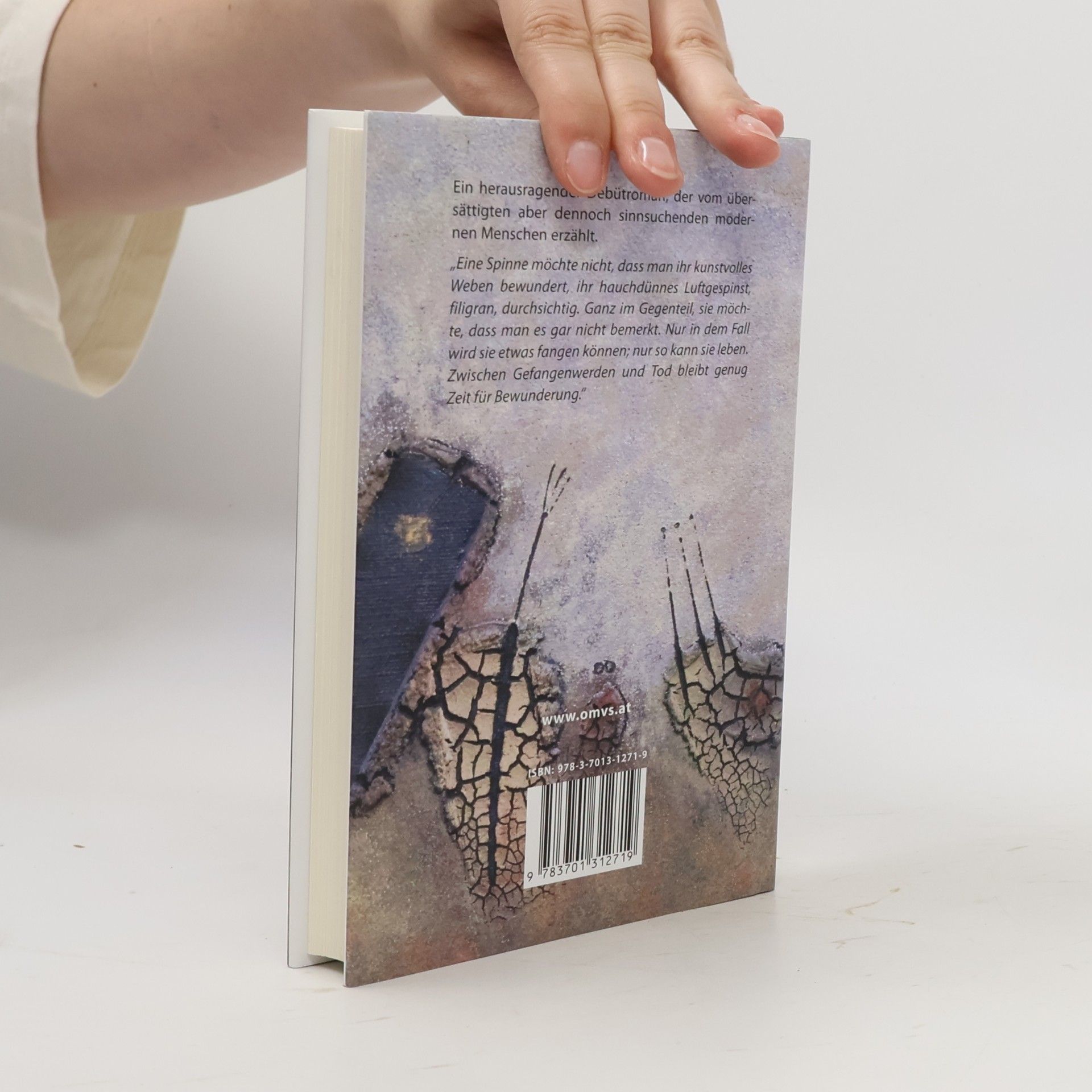 Ana Marwan Der Kreis des Weberknechts