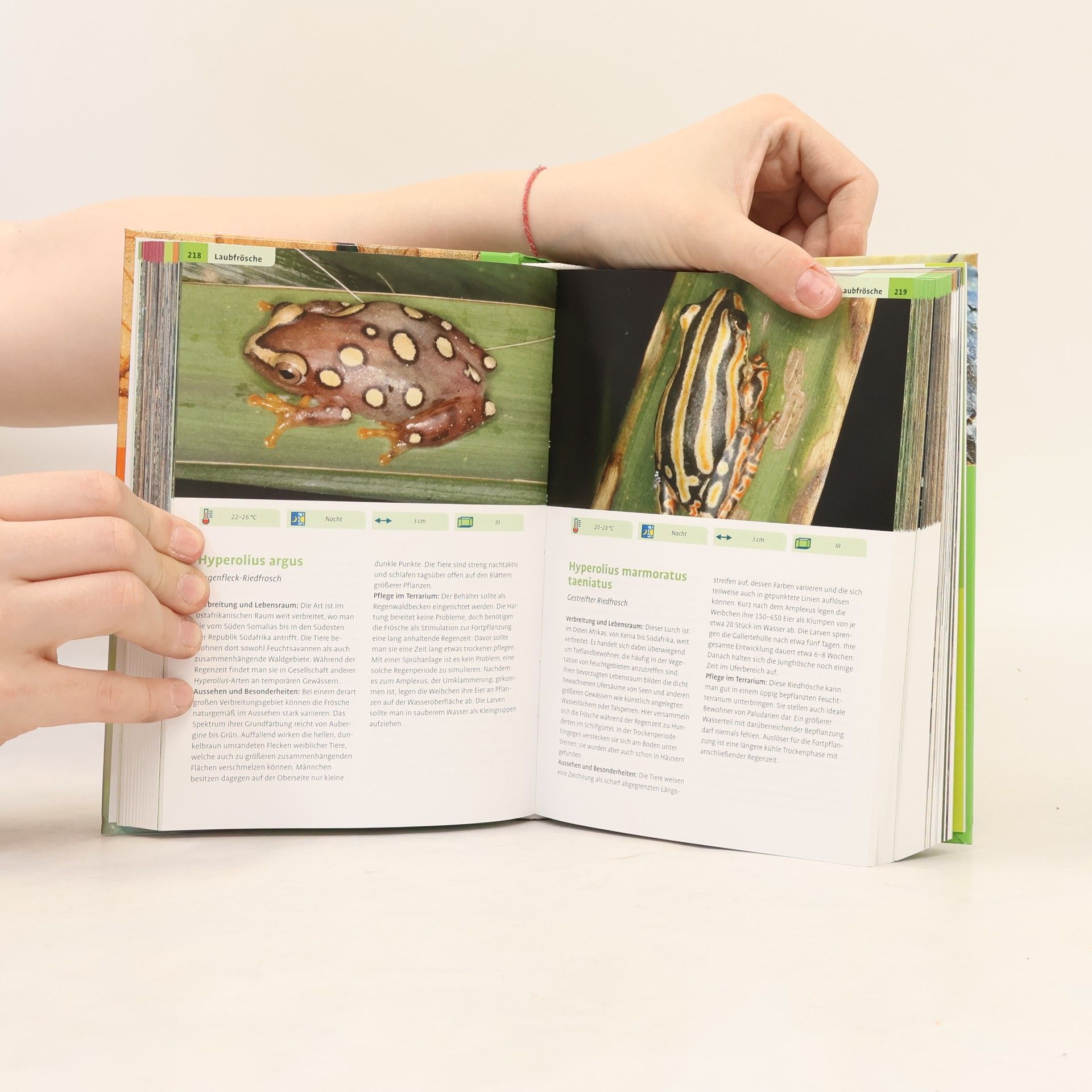 Friedrich-Wilhelm Henkel Das Terrarium von A-Z
