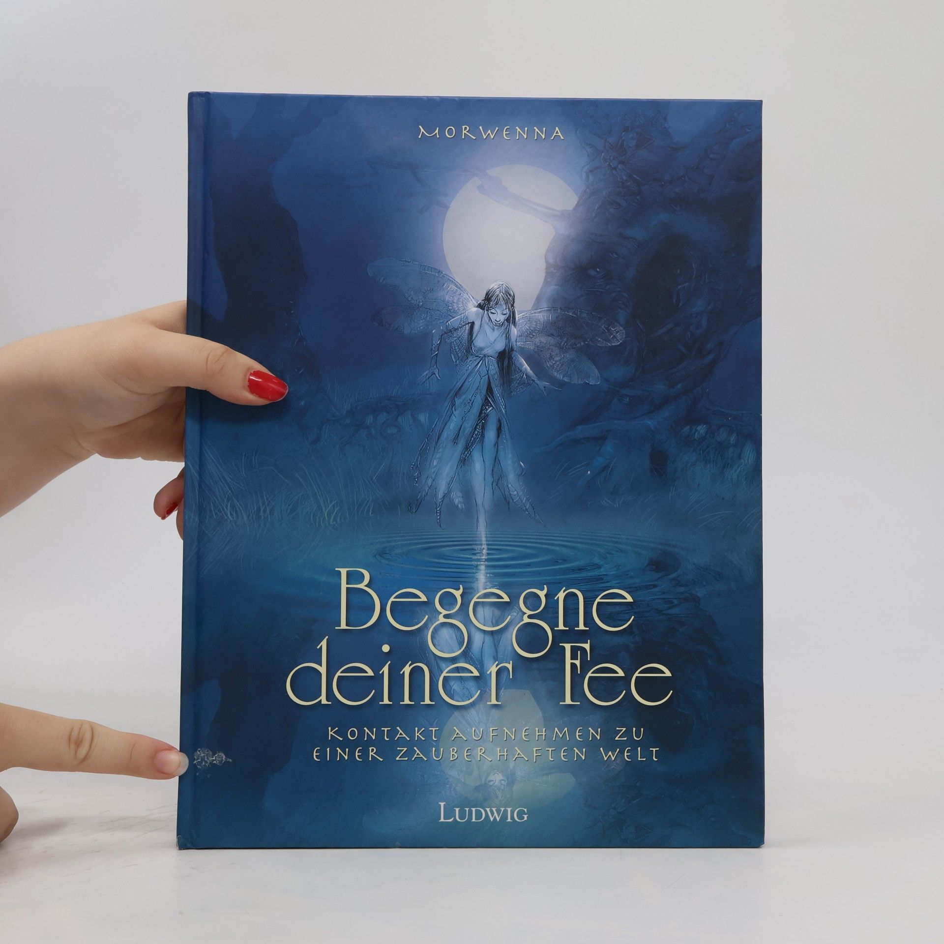 Morwenna Begegne deiner Fee