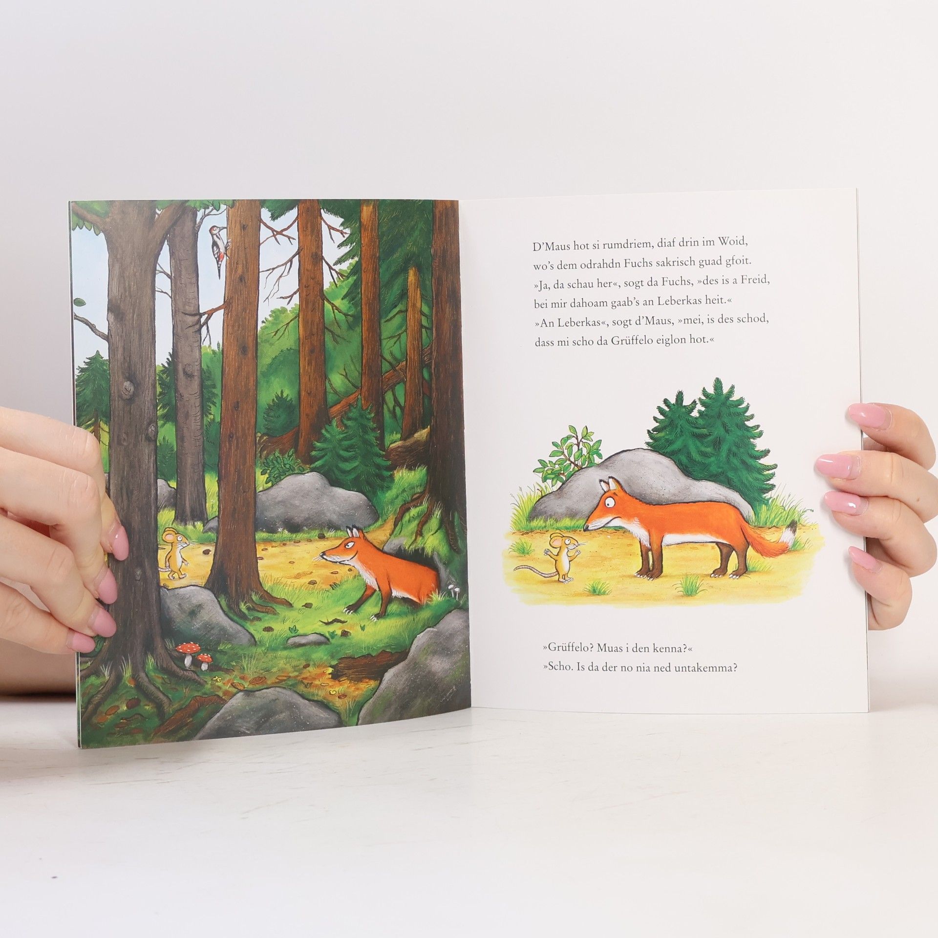 Axel Scheffler Da Grüffelo