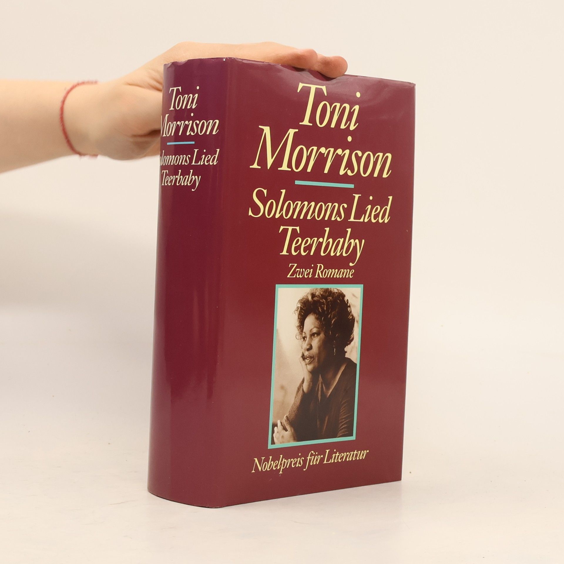 Toni Morrison Solomons Lied. Teerbaby