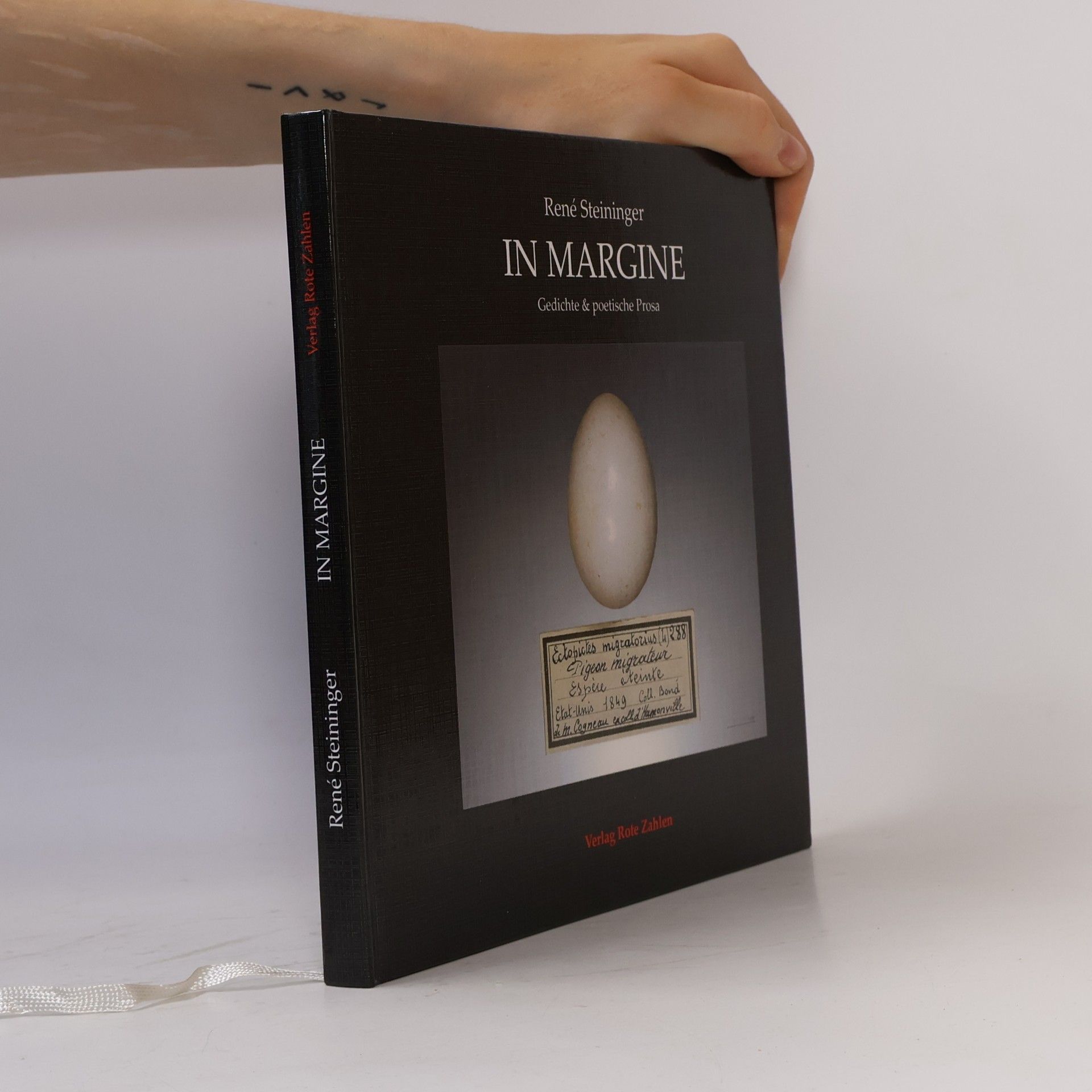 René Steininger Edition Rote Zahlen: In Margine