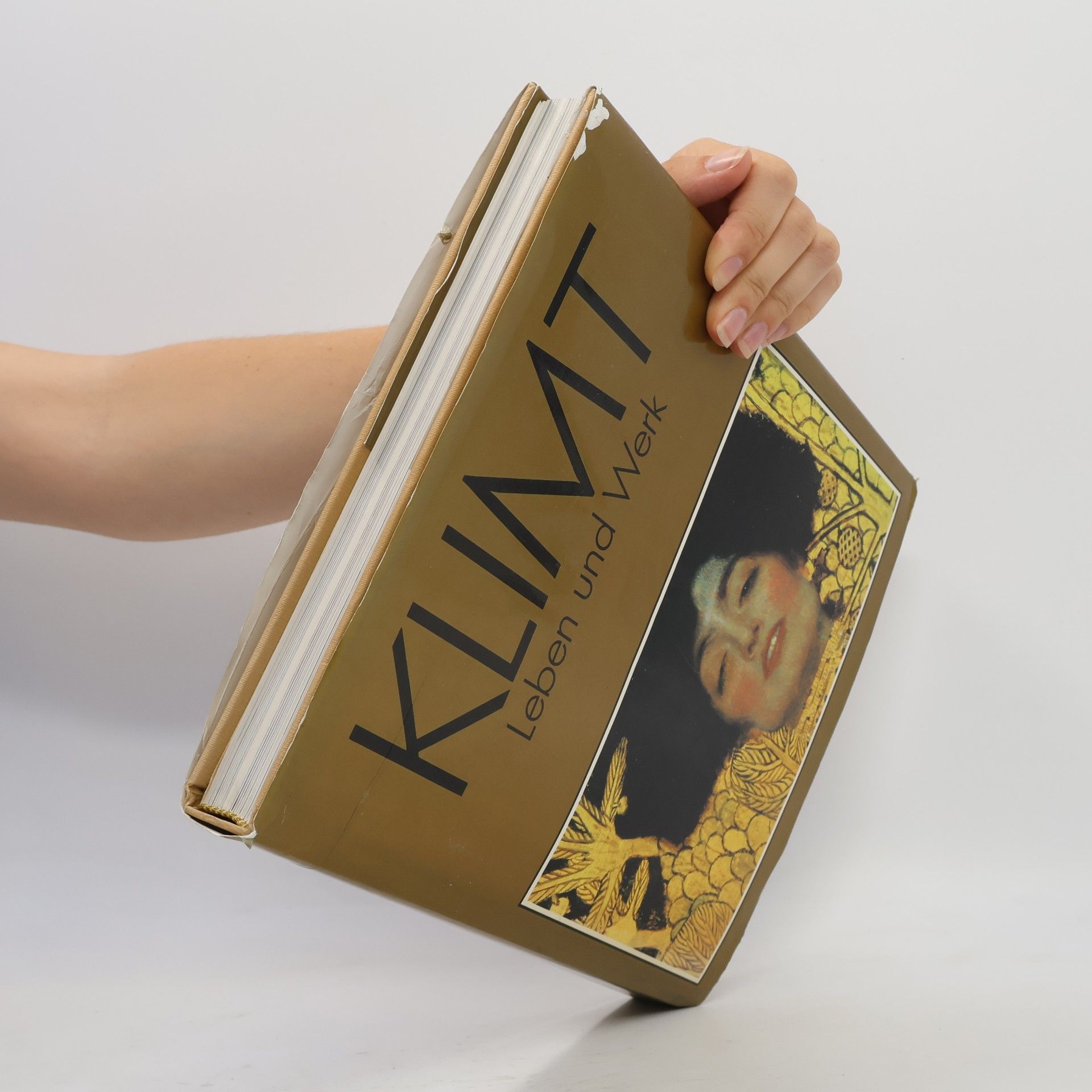 Various authors Klimt. Leben und Werk