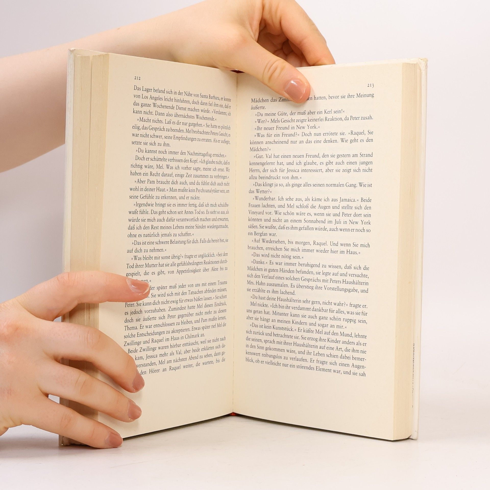 Danielle Steel Wandlungen der Liebe
