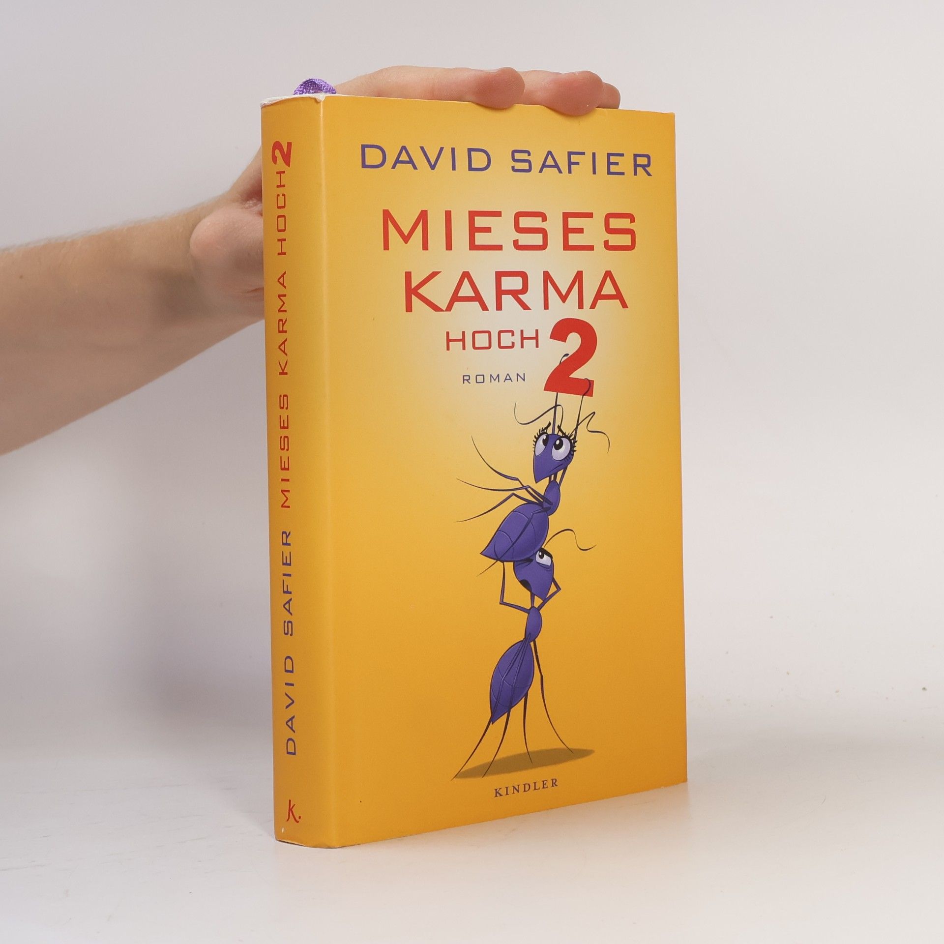 David Safier Mieses Karma hoch 2