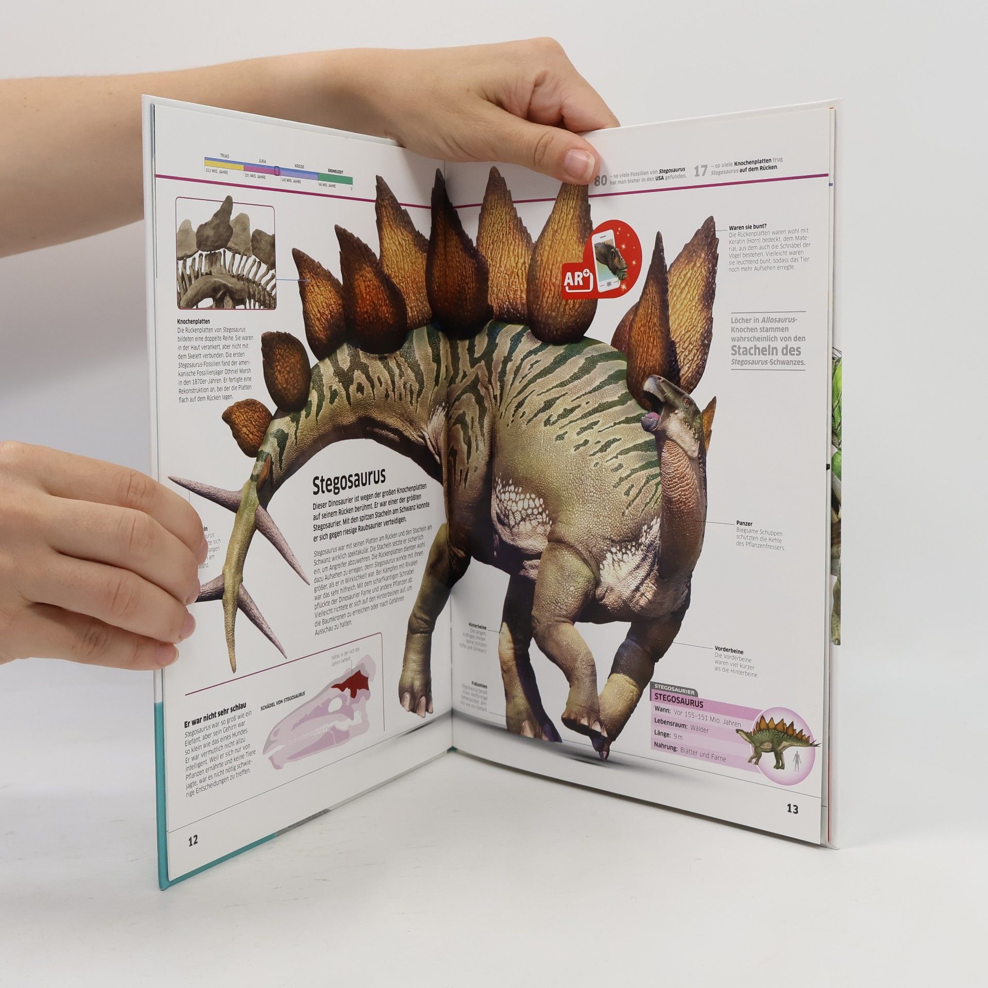 Various authors memo Quiz Dinosaurier