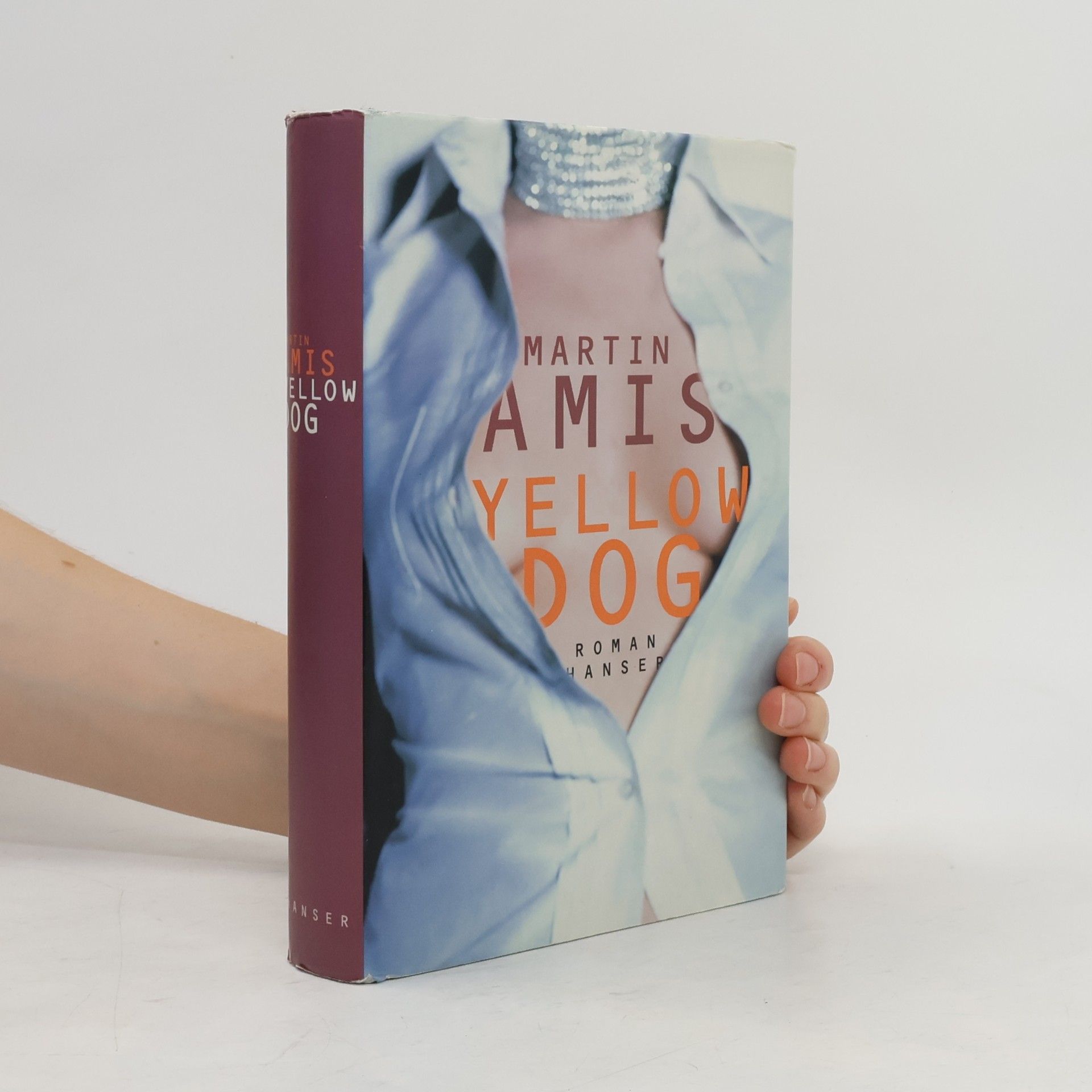 Martin Amis Yellow Dog
